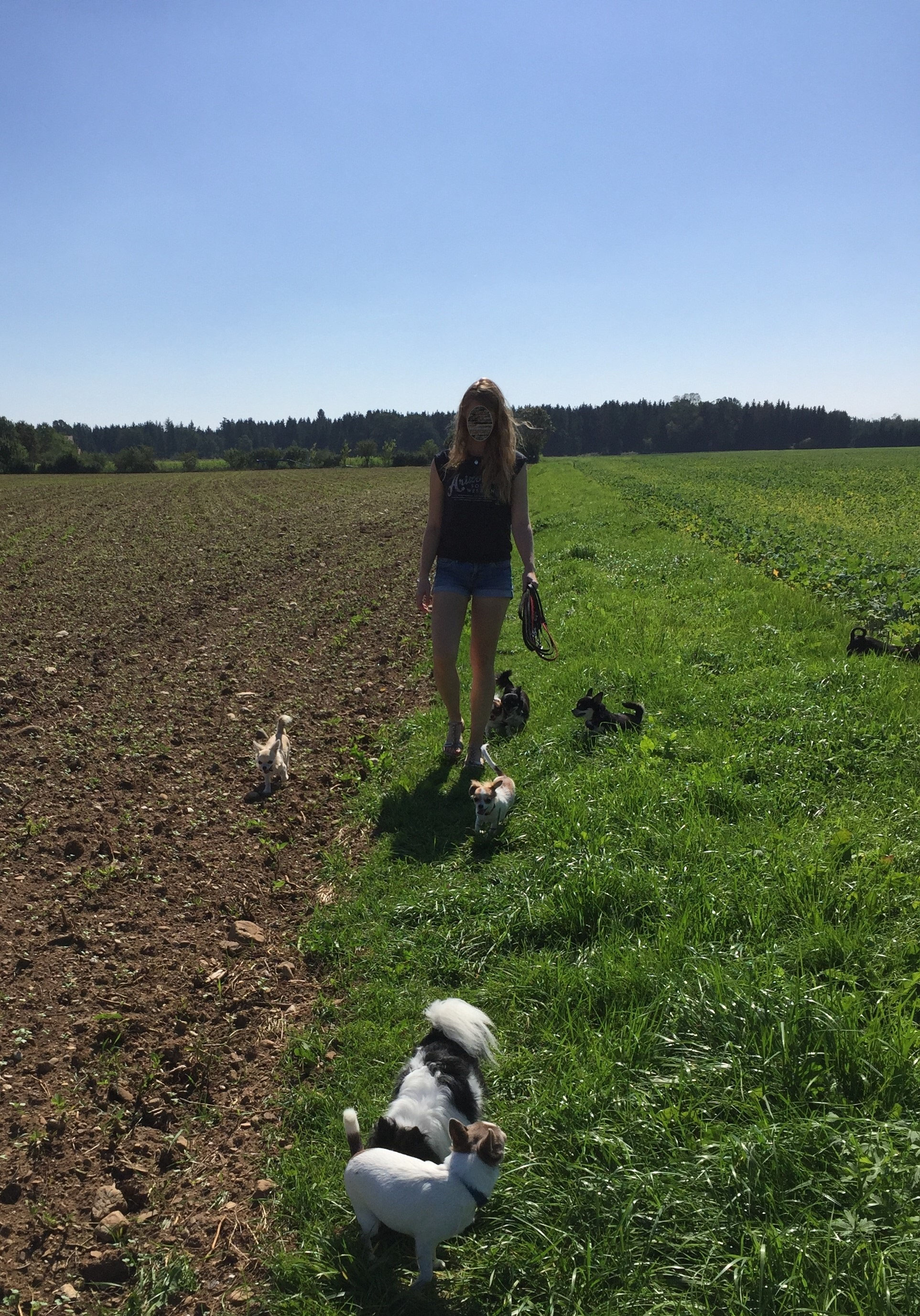 Über uns / Kontakt - Fuente de Alegrias Chihuahuas in Bayern