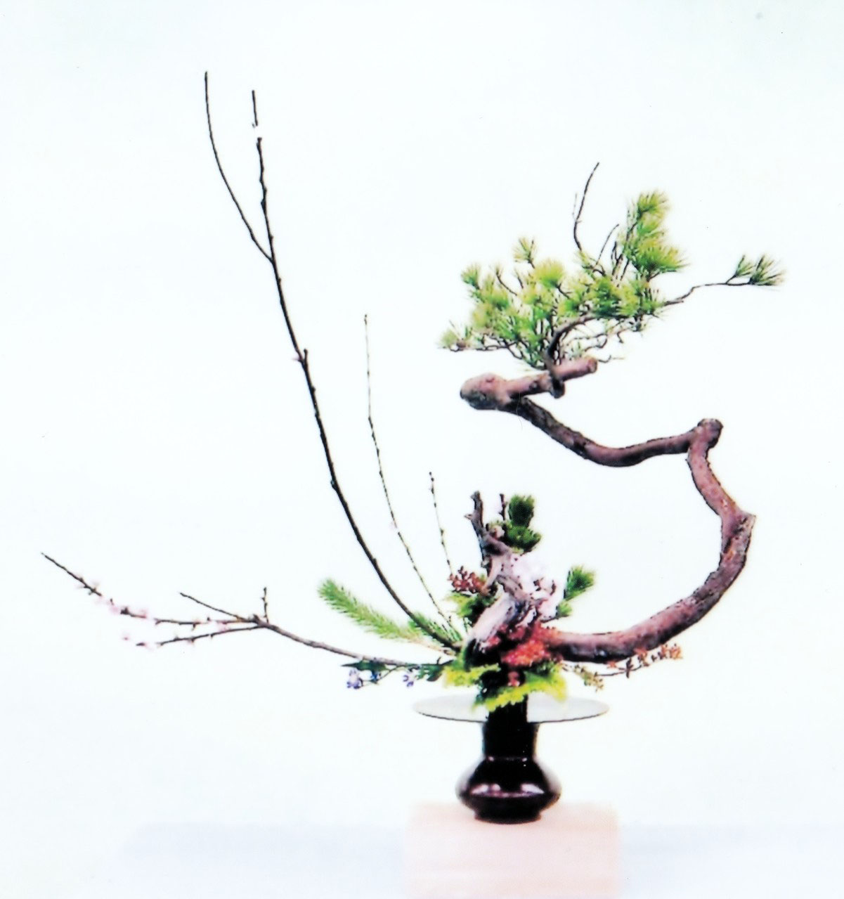 華道家元 池坊東京緑泉会支部 Ikenobotokyoryokusenkai ページ