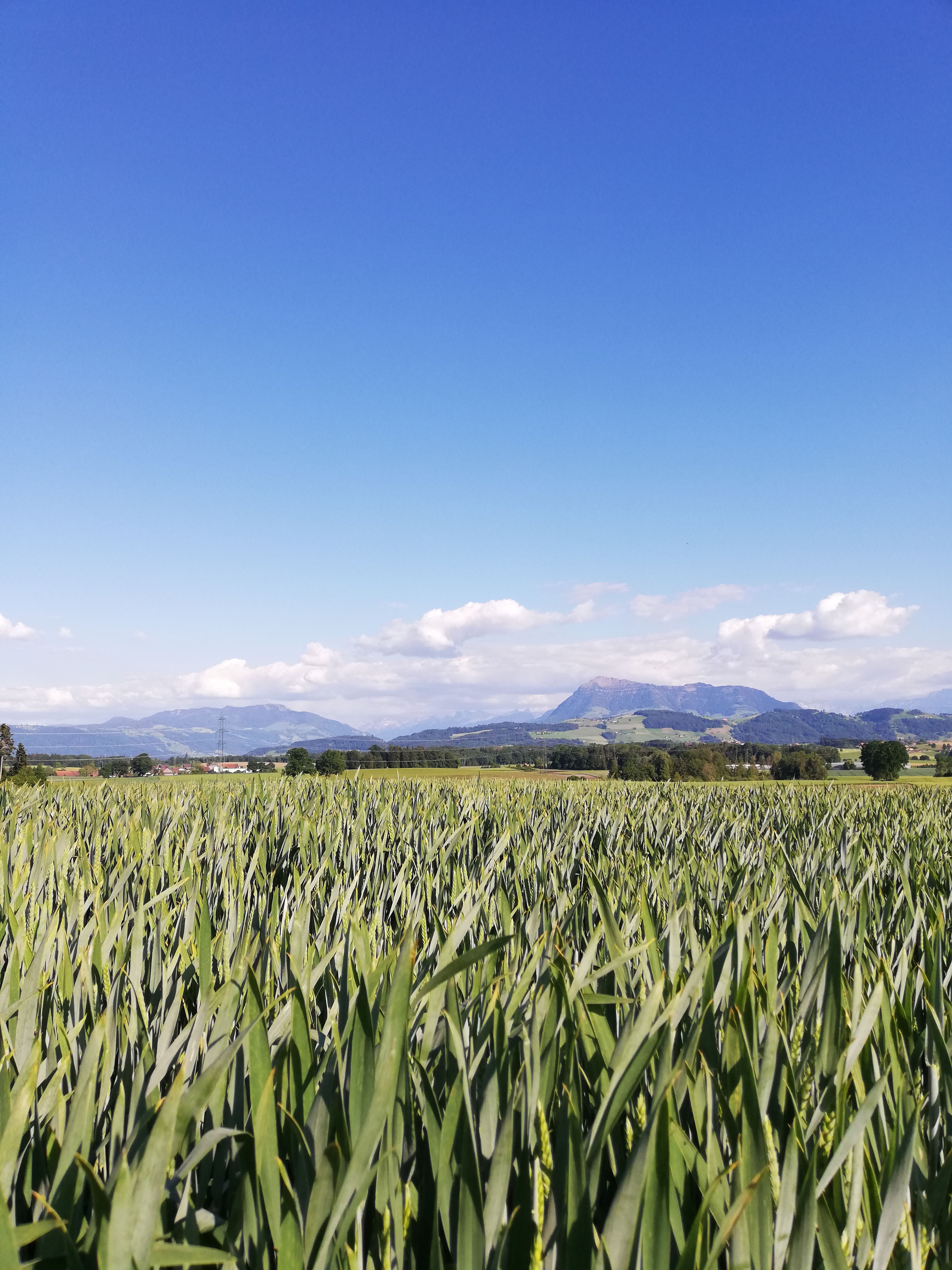 Galerie laerchenhofags Webseite!