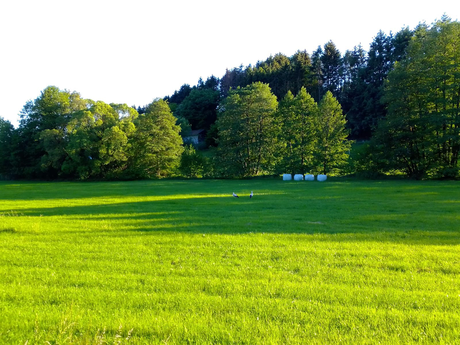 Herschweiler-Pettersheim Herschweiler-Pettersheim