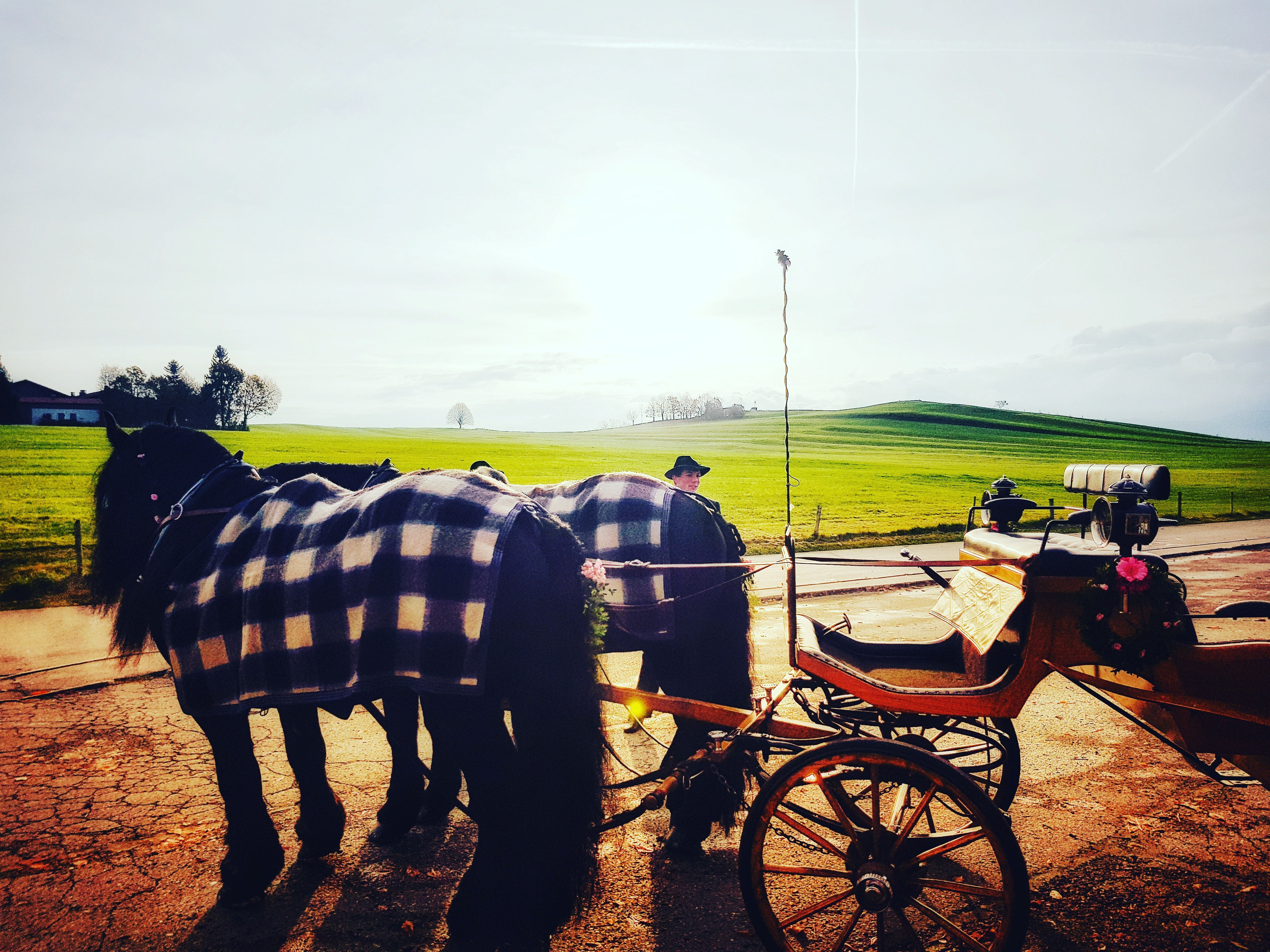 Hochzeitskutsche Porzellan Kutsche Pferde Figuren Klette Kups