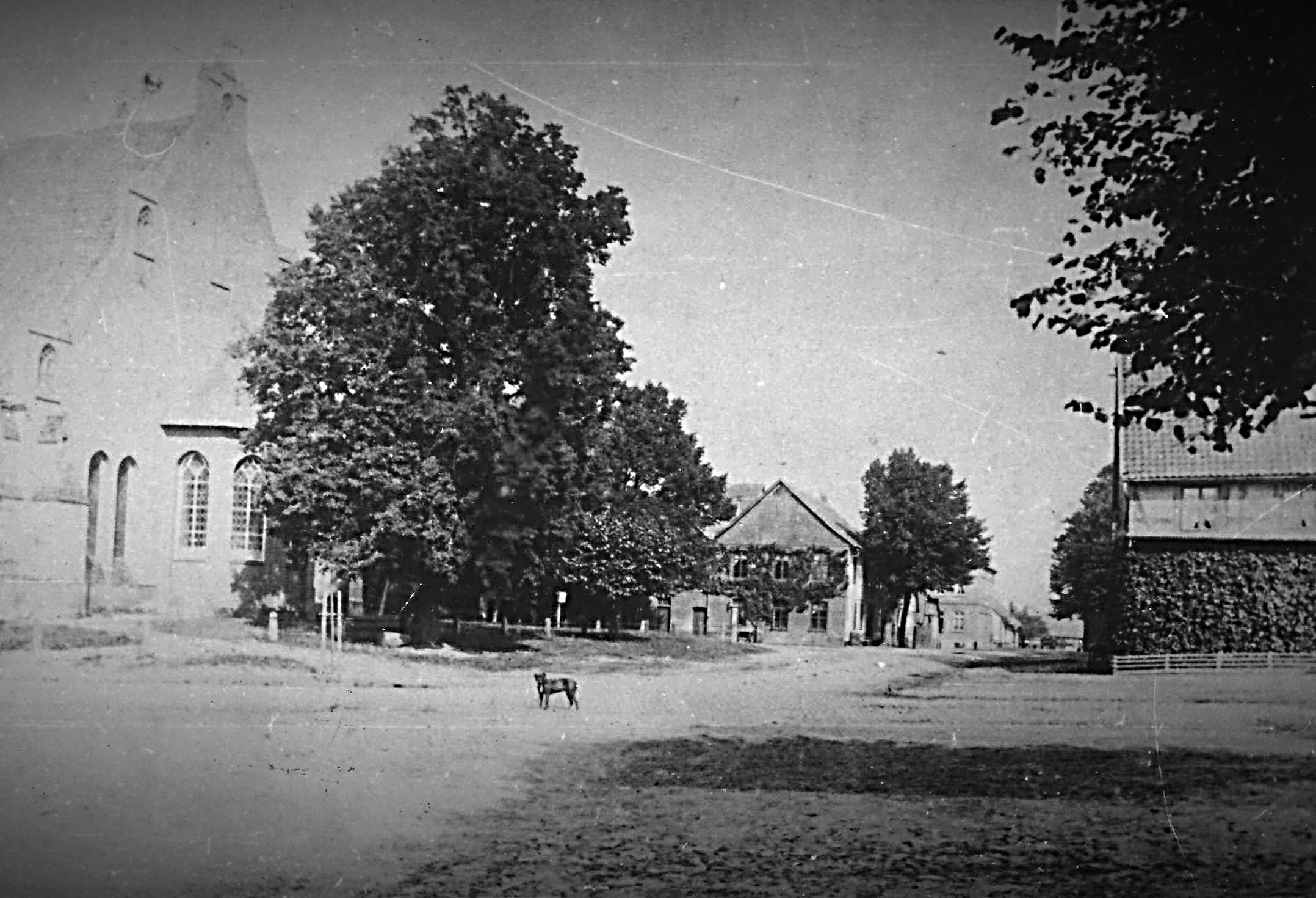 fotos das sulingen projekt