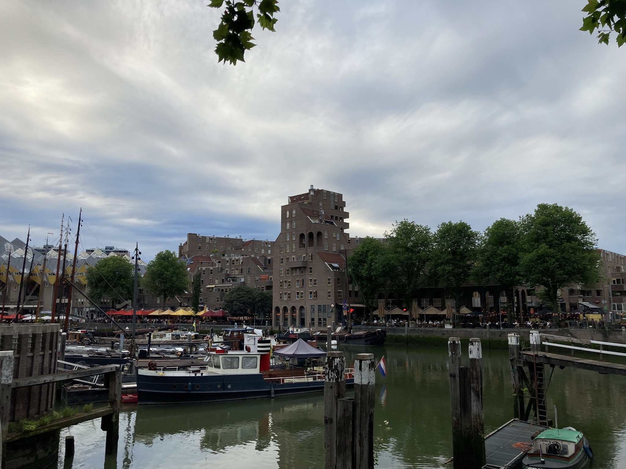 Rotterdam einelangerwartetereises Webseite!