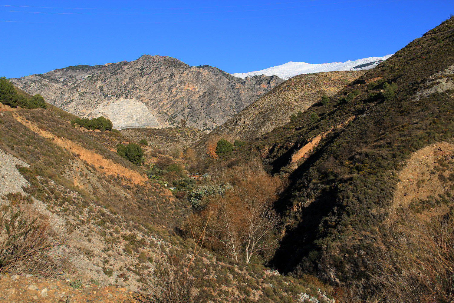 Information Durcal Exclusive Granada Exclusive and