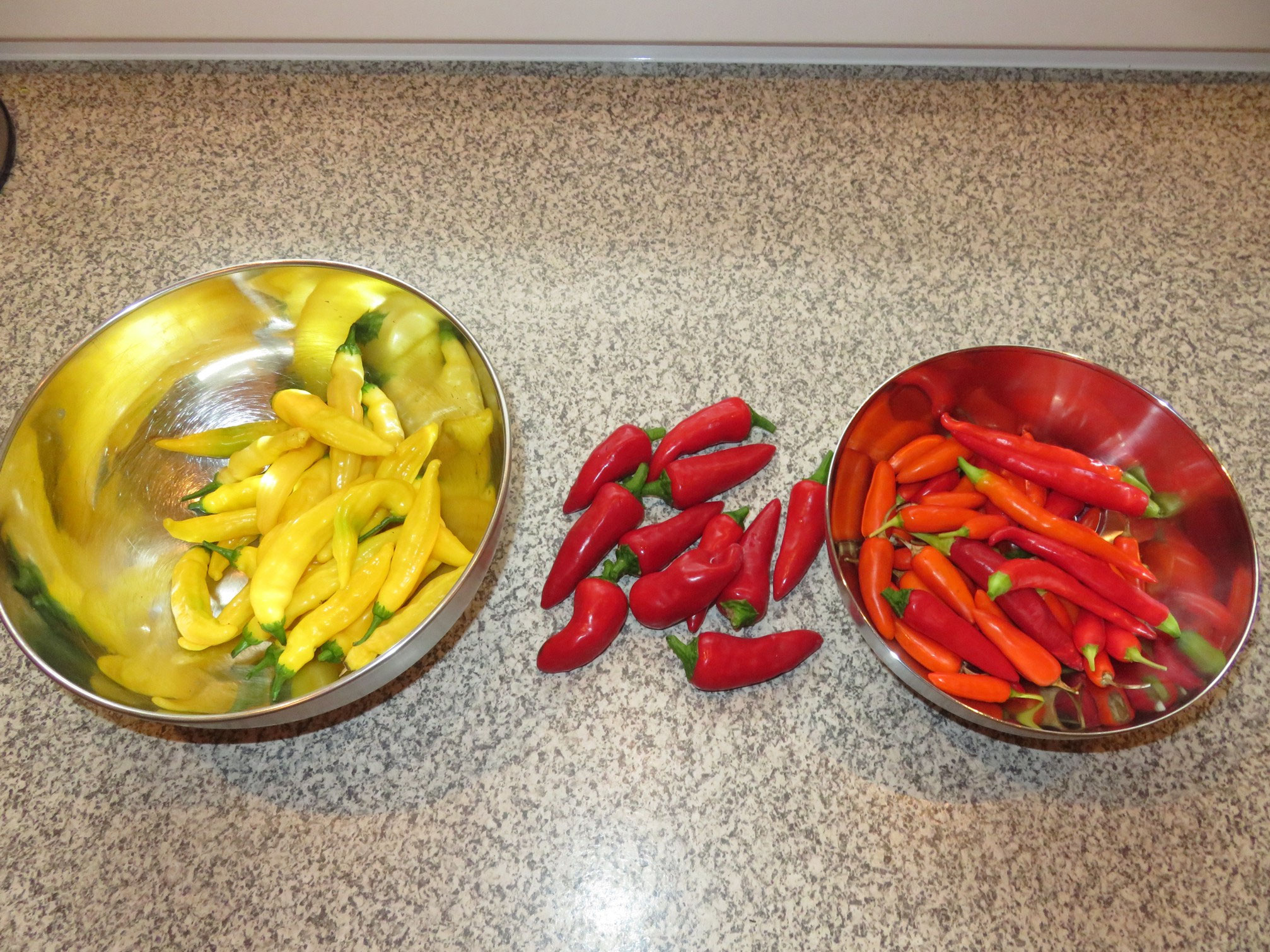 Chilli einlegen bonappetittoeroeks Webseite!