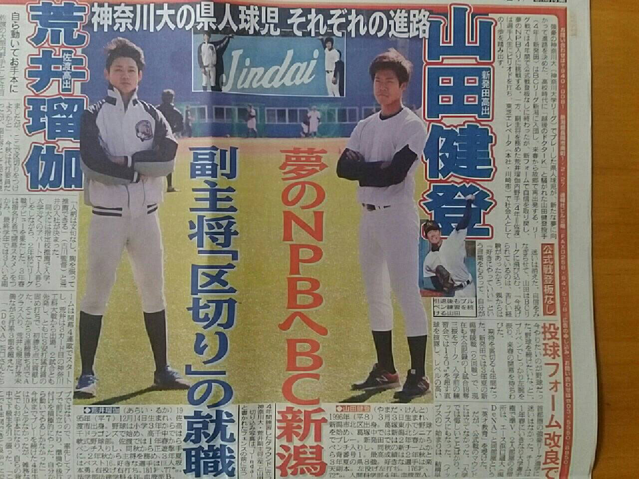神奈川大の県人球児それぞれの進路 新潟県野球協議会 神奈川大の県人球児それぞれの進路 新潟県野球協議会