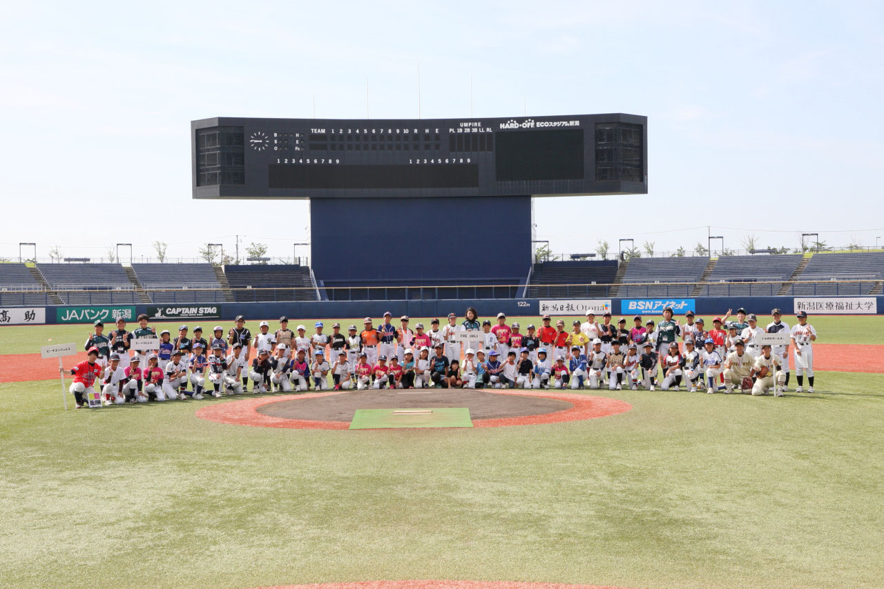 新潟県野球協議会 ホーム