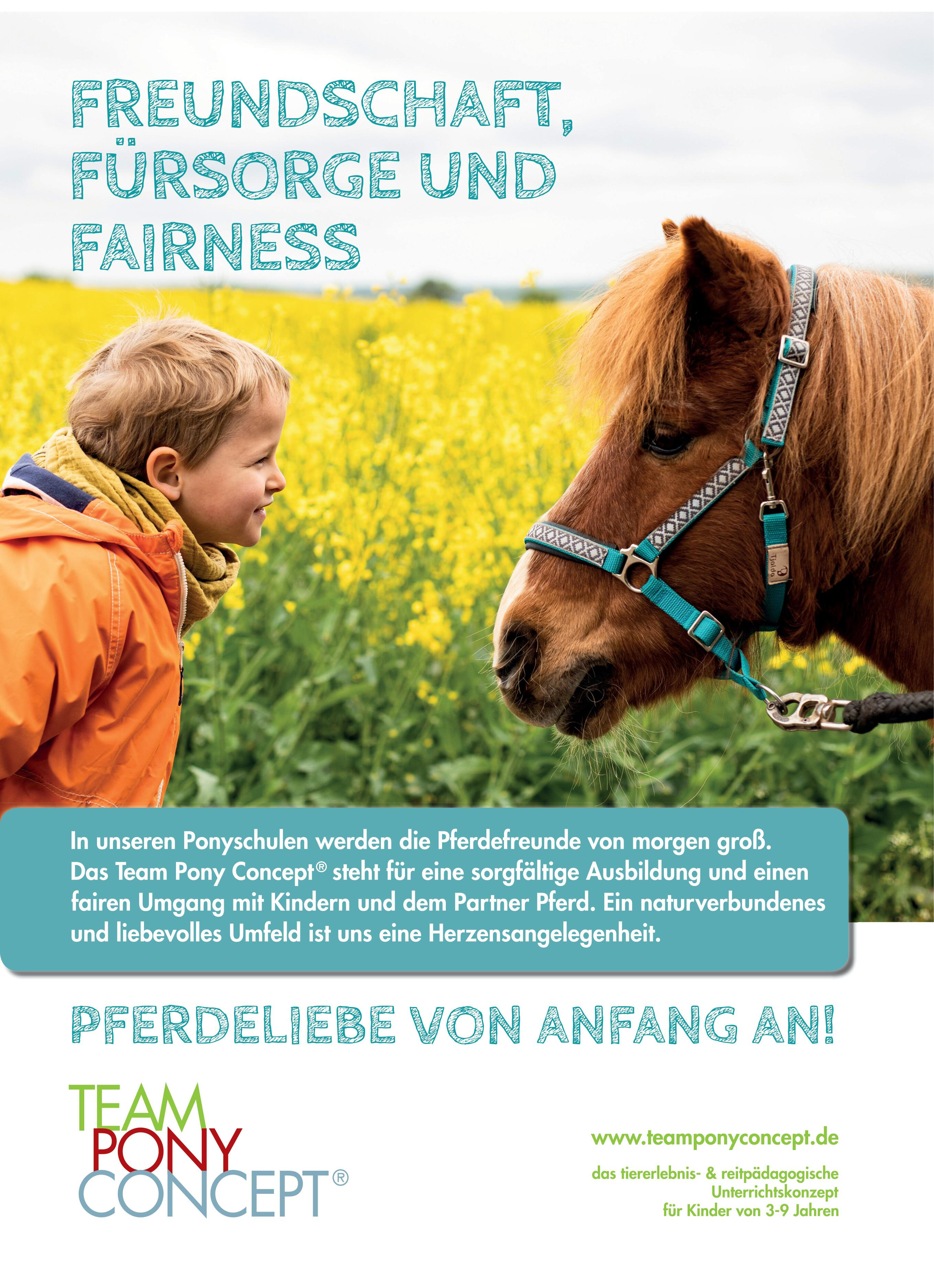 Team Pony Concept