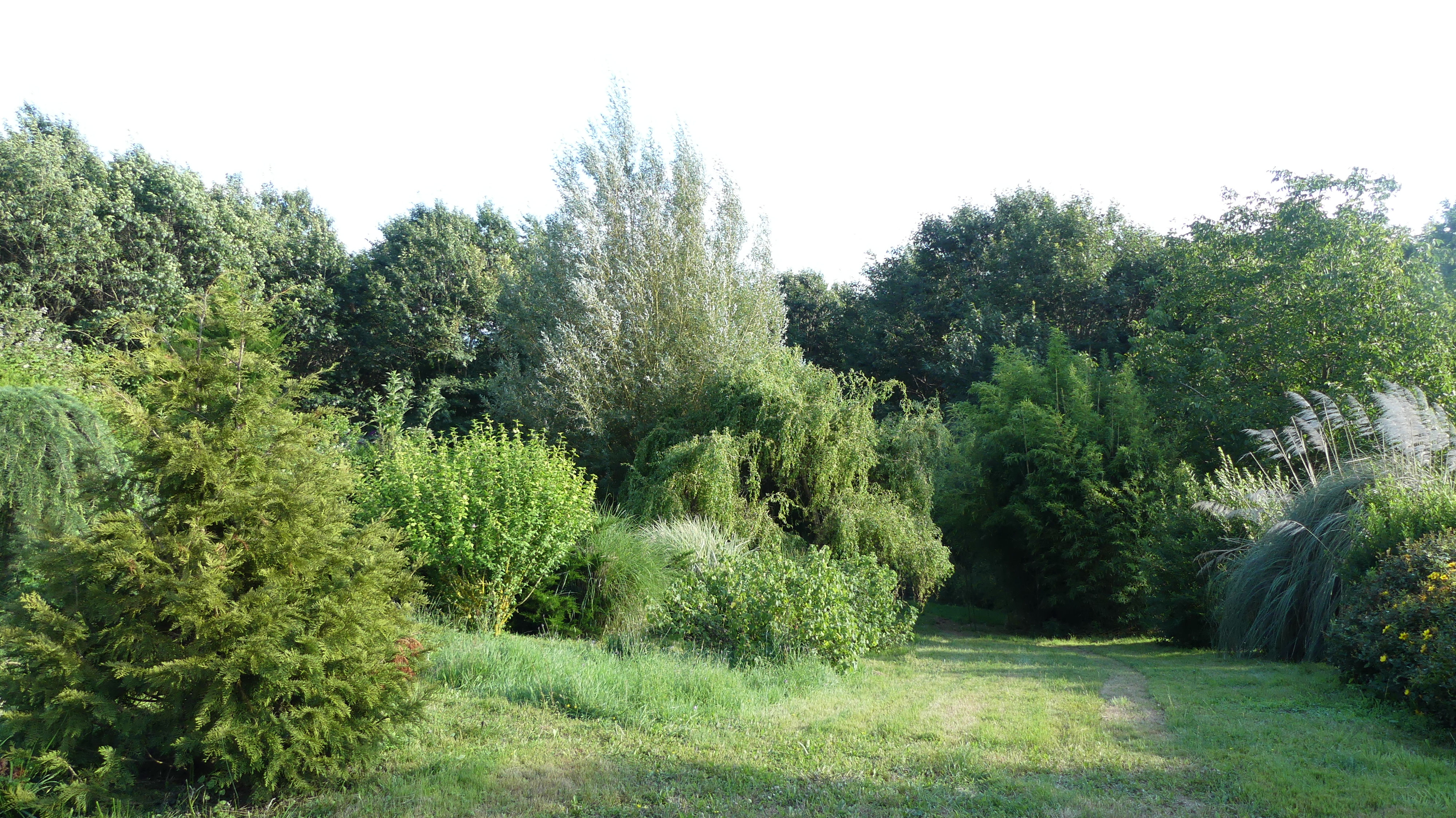 PARC LACOSTE