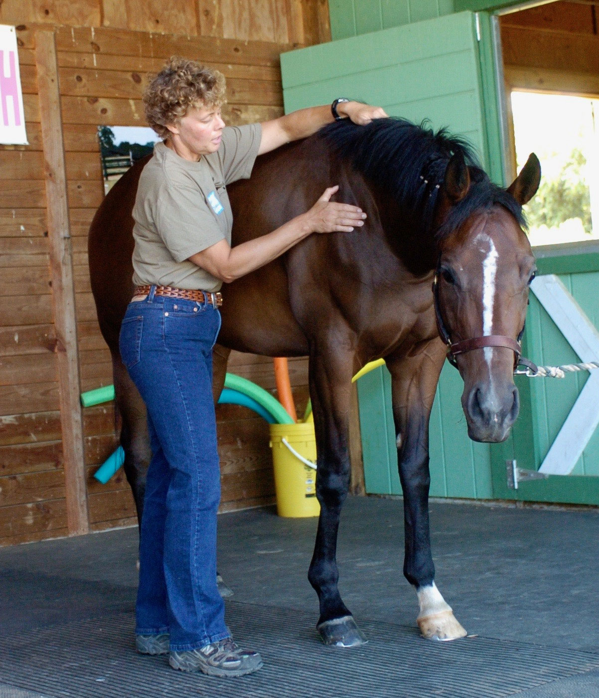 Clinic The Excellent Horse