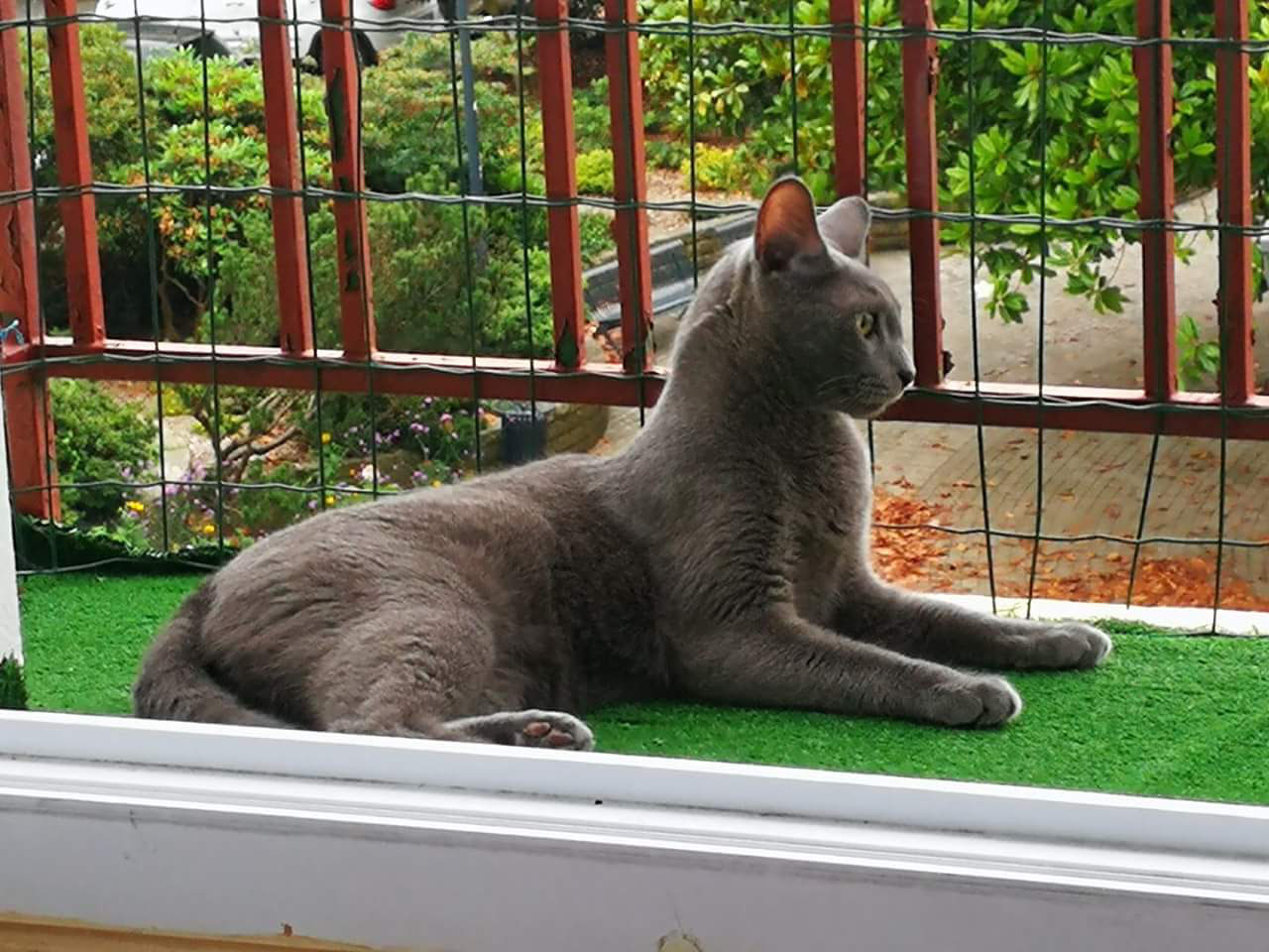 ébène noir chatte gay Bangladesh porno