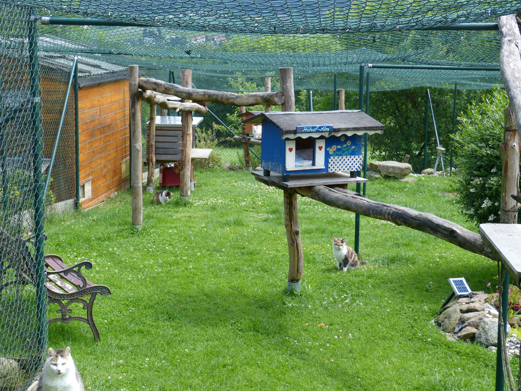 Katzenhilfe Cham Katzenhilfe Cham