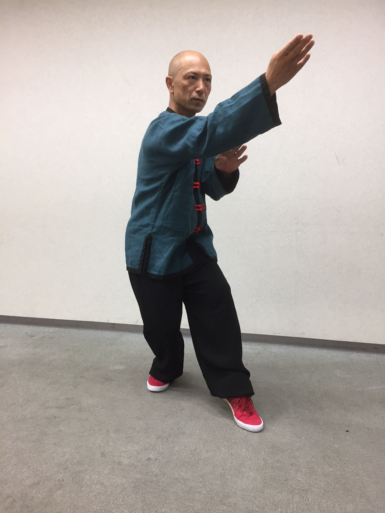 中国武術「通背拳法 全 武田煕著」