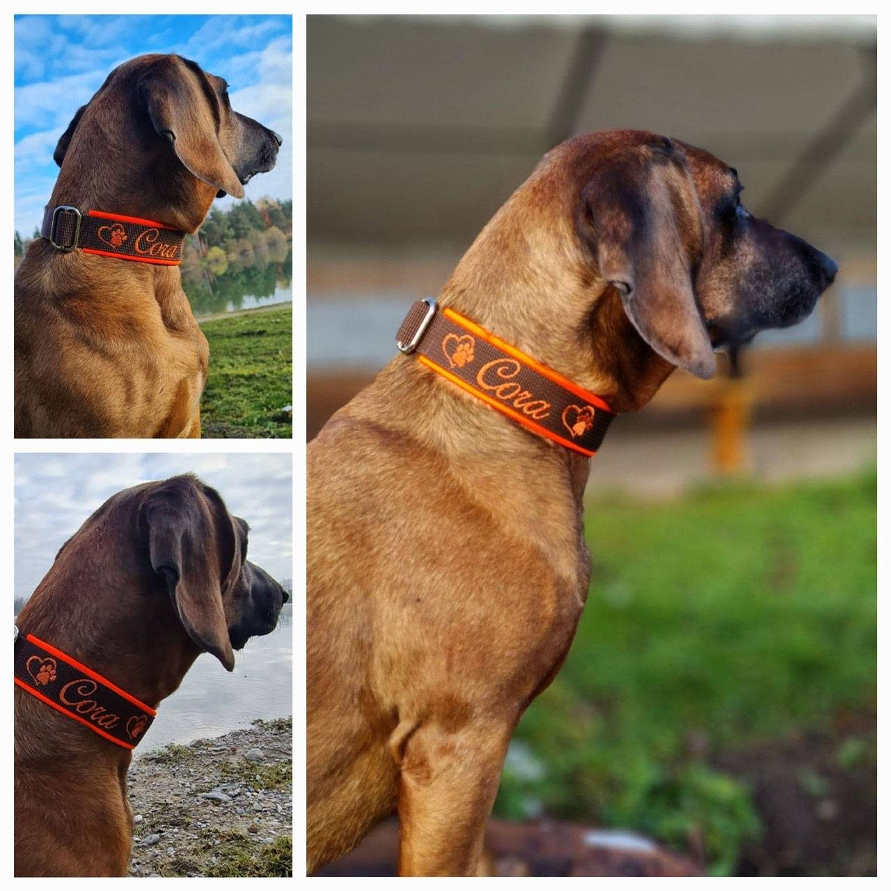 outdoor hundebetten Dreamer Pure Outdoor Hundebett main image 1