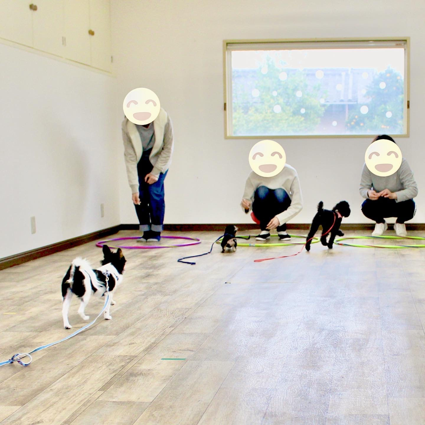 数々のアワードを受賞 静かな子犬パーティー スターター 幼児 女の子 キッズ シューズ ネイビー Hky8047 410 0d Pradsa Com Mx