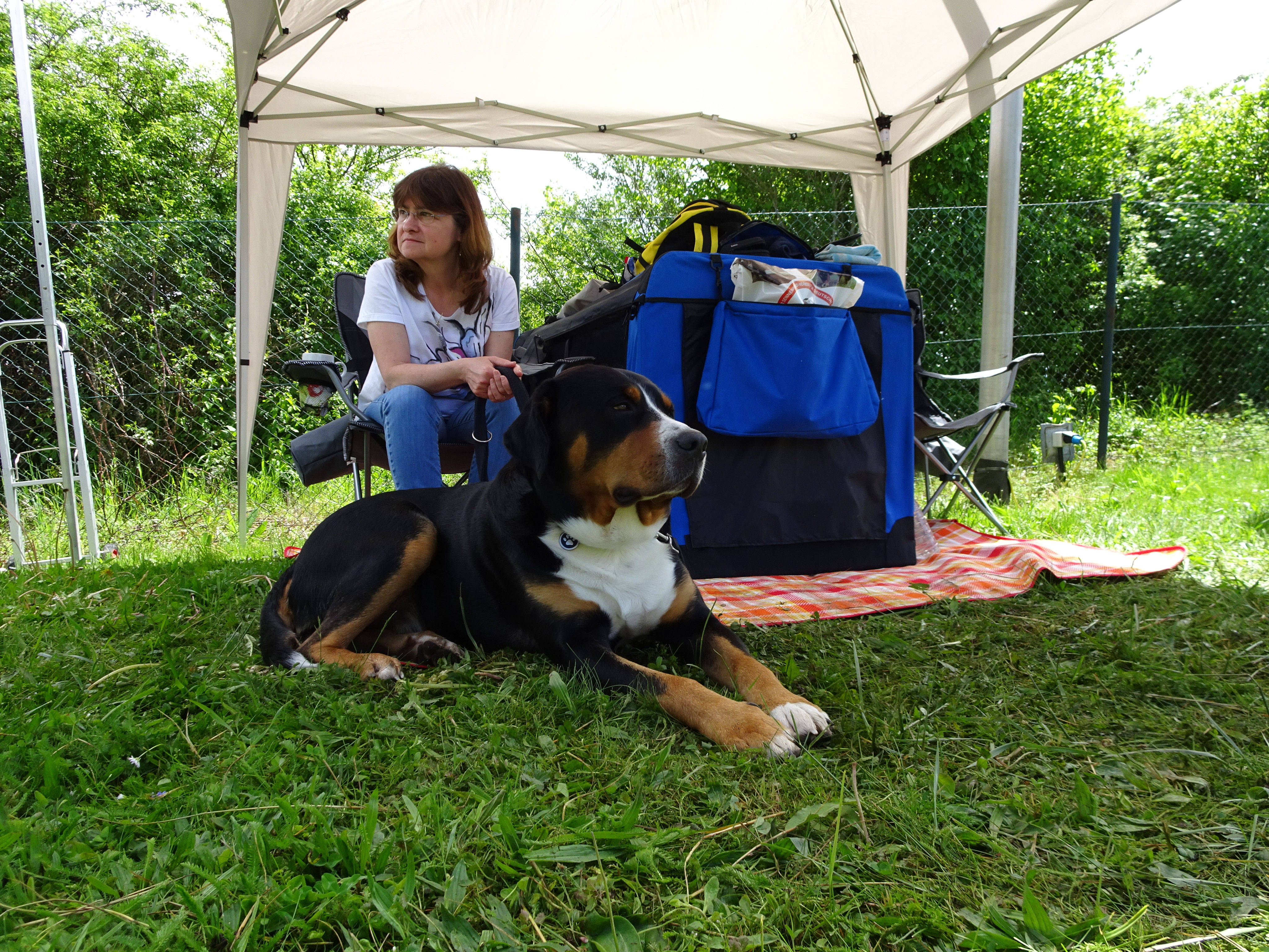 MEIN RUDEL Homepage vom GSS Mats!