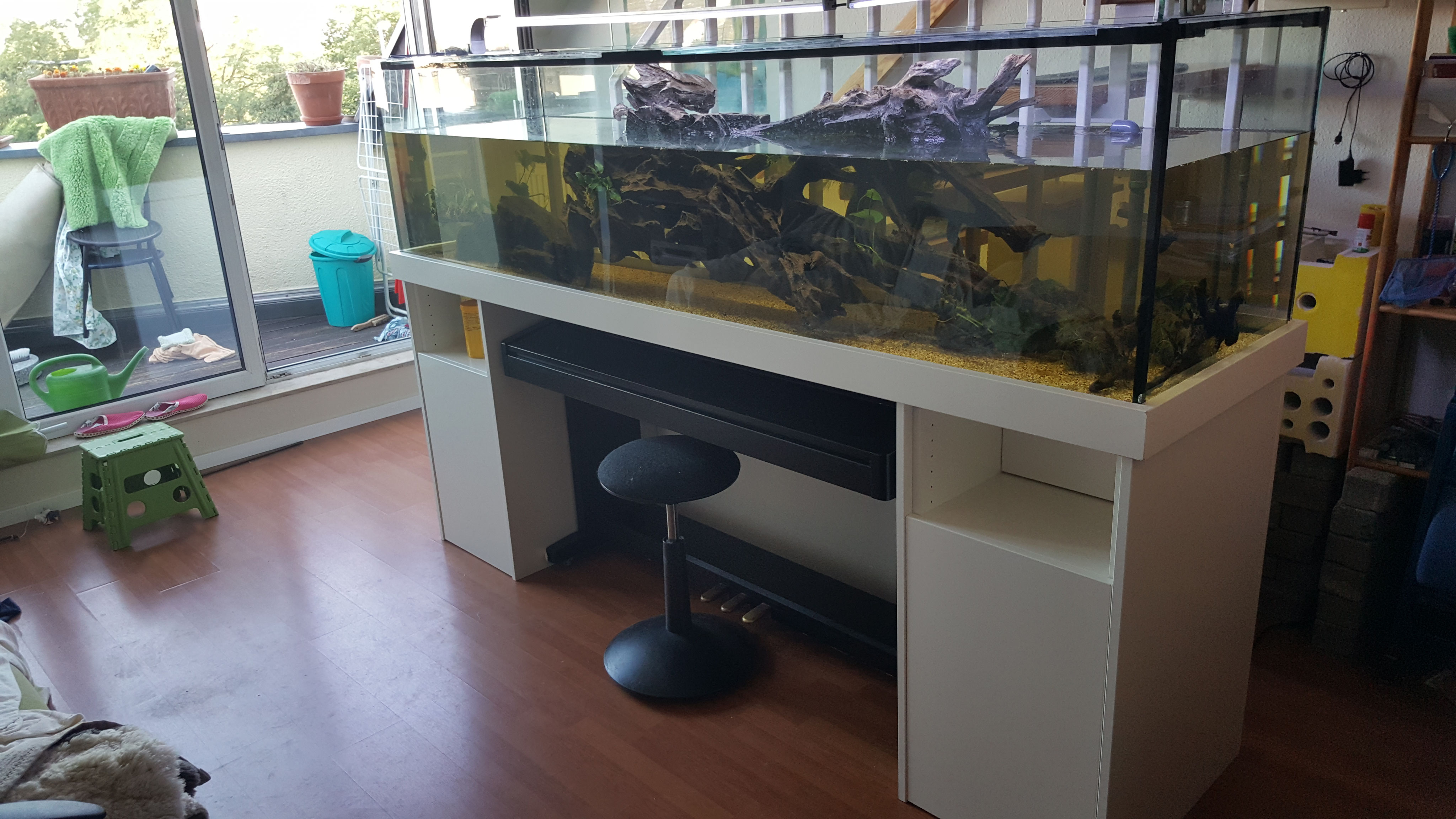 Referenzen Aquarien aus unserer Fertigung aquarienbauberndneus