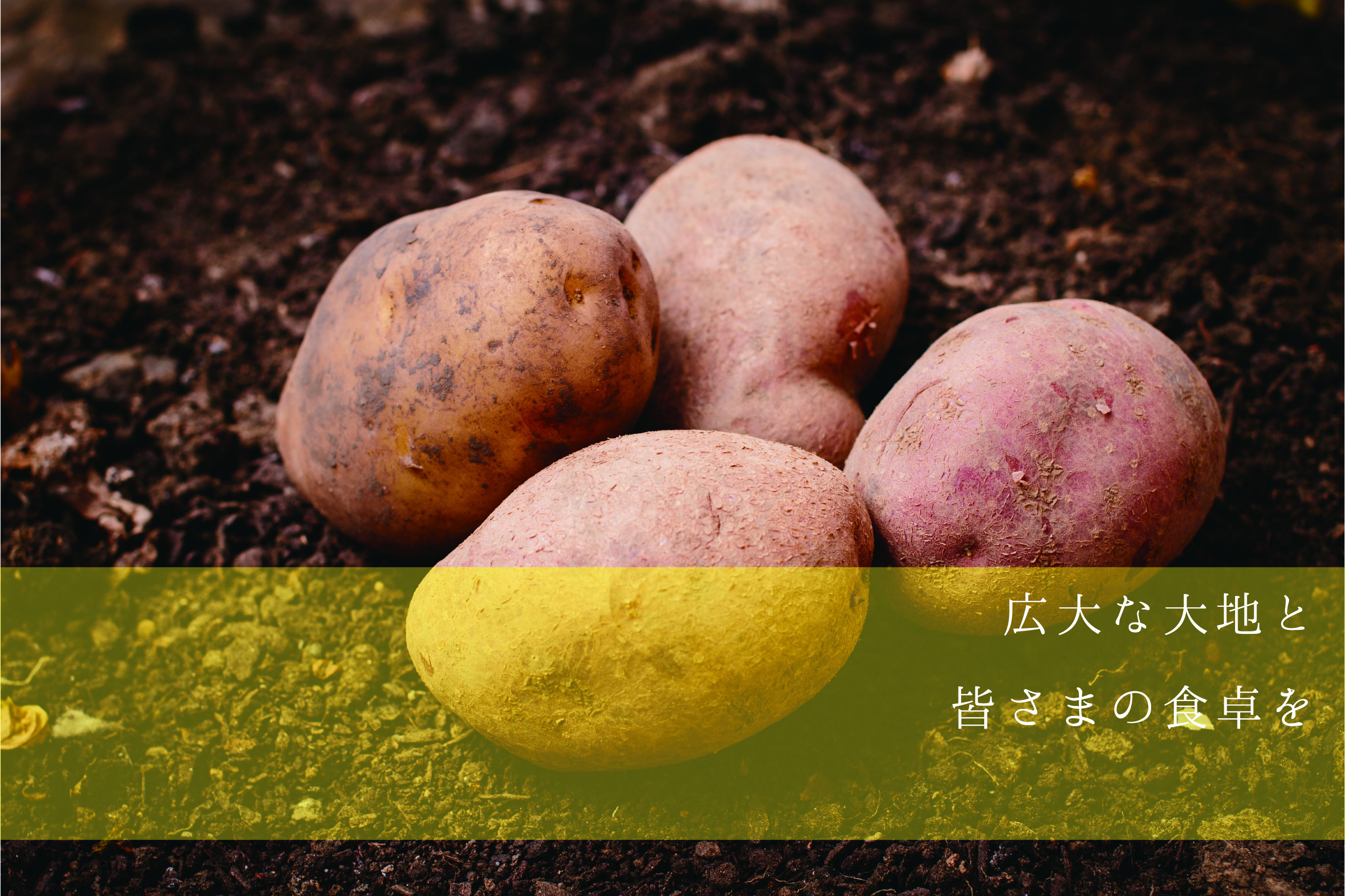株式会社ＳＡＮＴＳＵ
