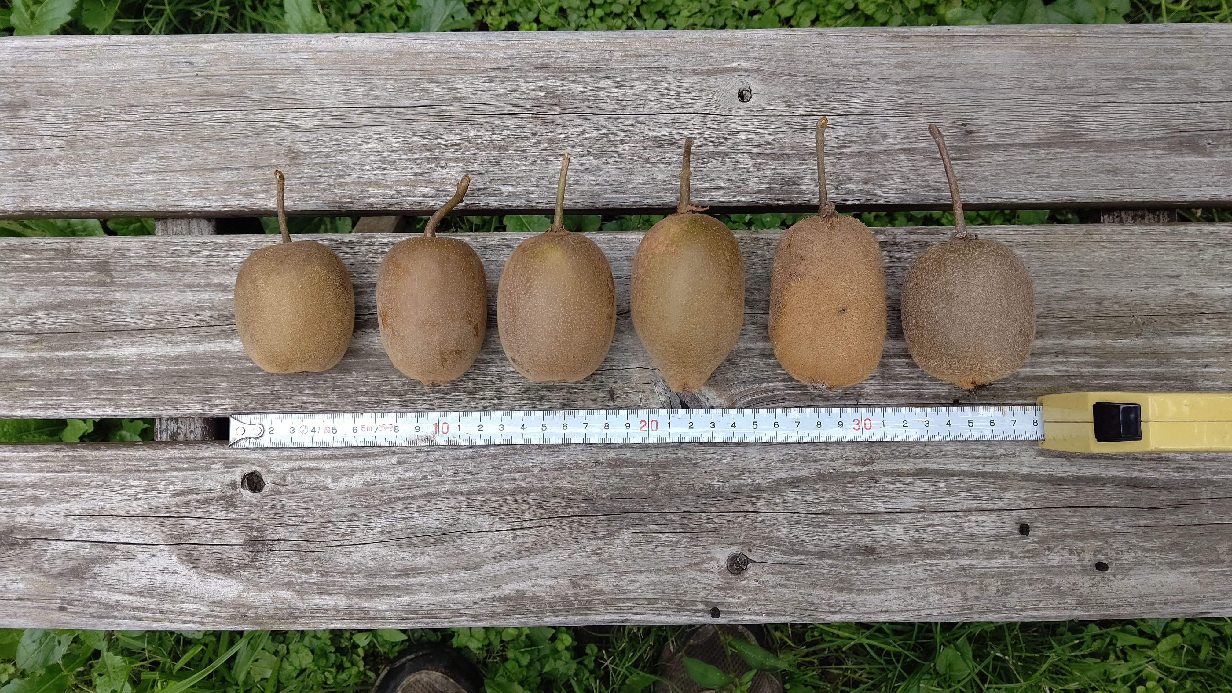 ぽむきうい OUTLET】VOLCOM Nomaa Zip Fleece - Winter Moss