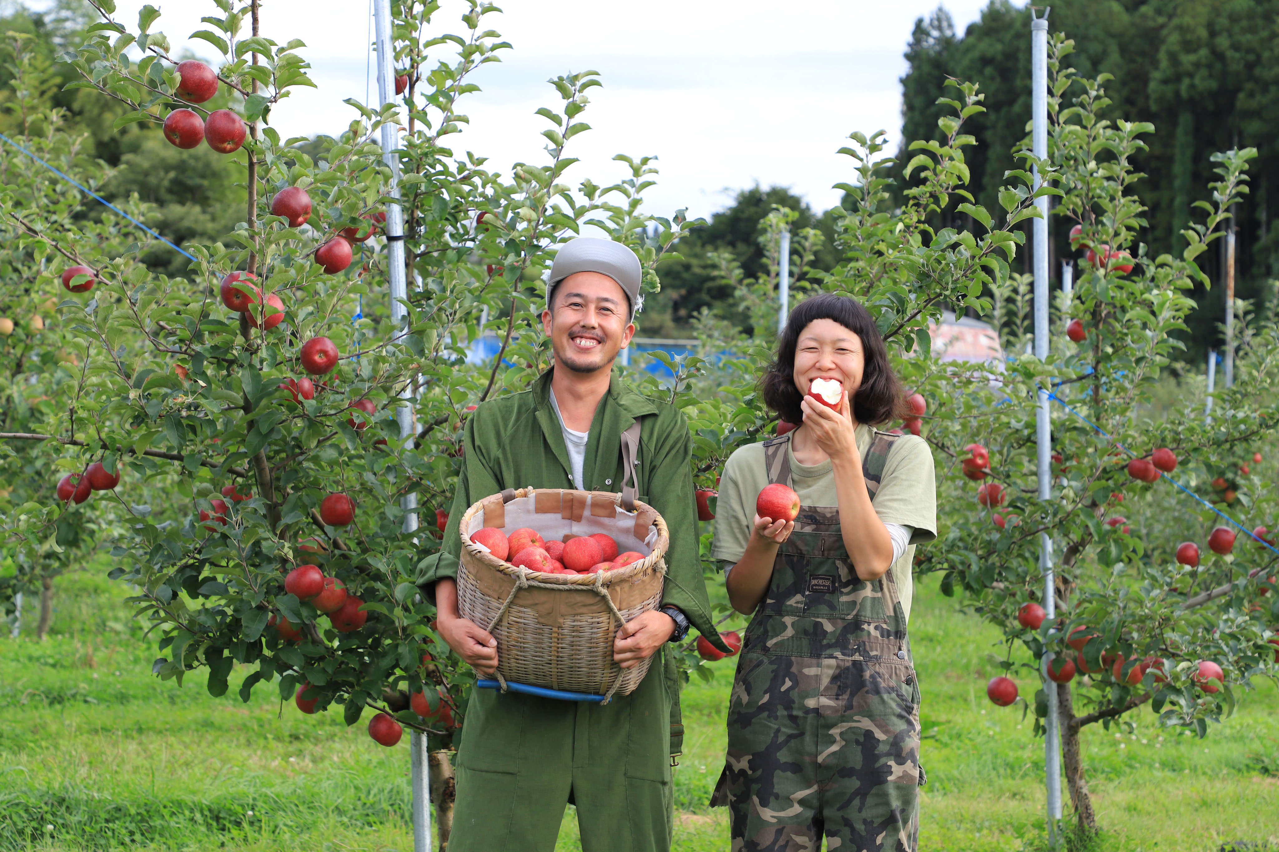 りんご工房きただホームページ - りんご工房きただオンライン