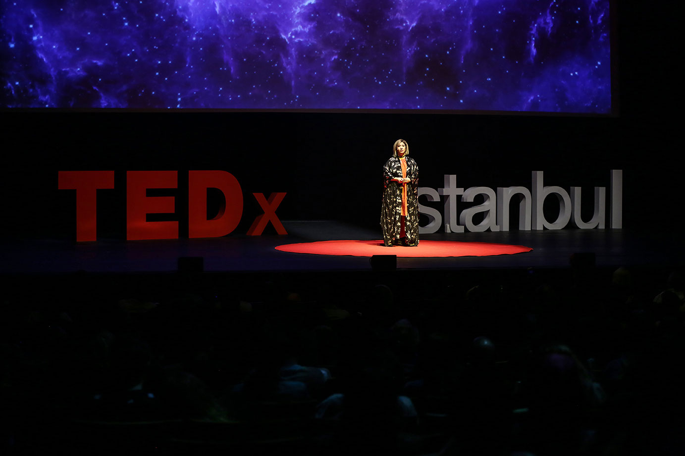 2018 Gidilmeyen Yol Tedxistanbul Paylasmaya Deger Fikirler