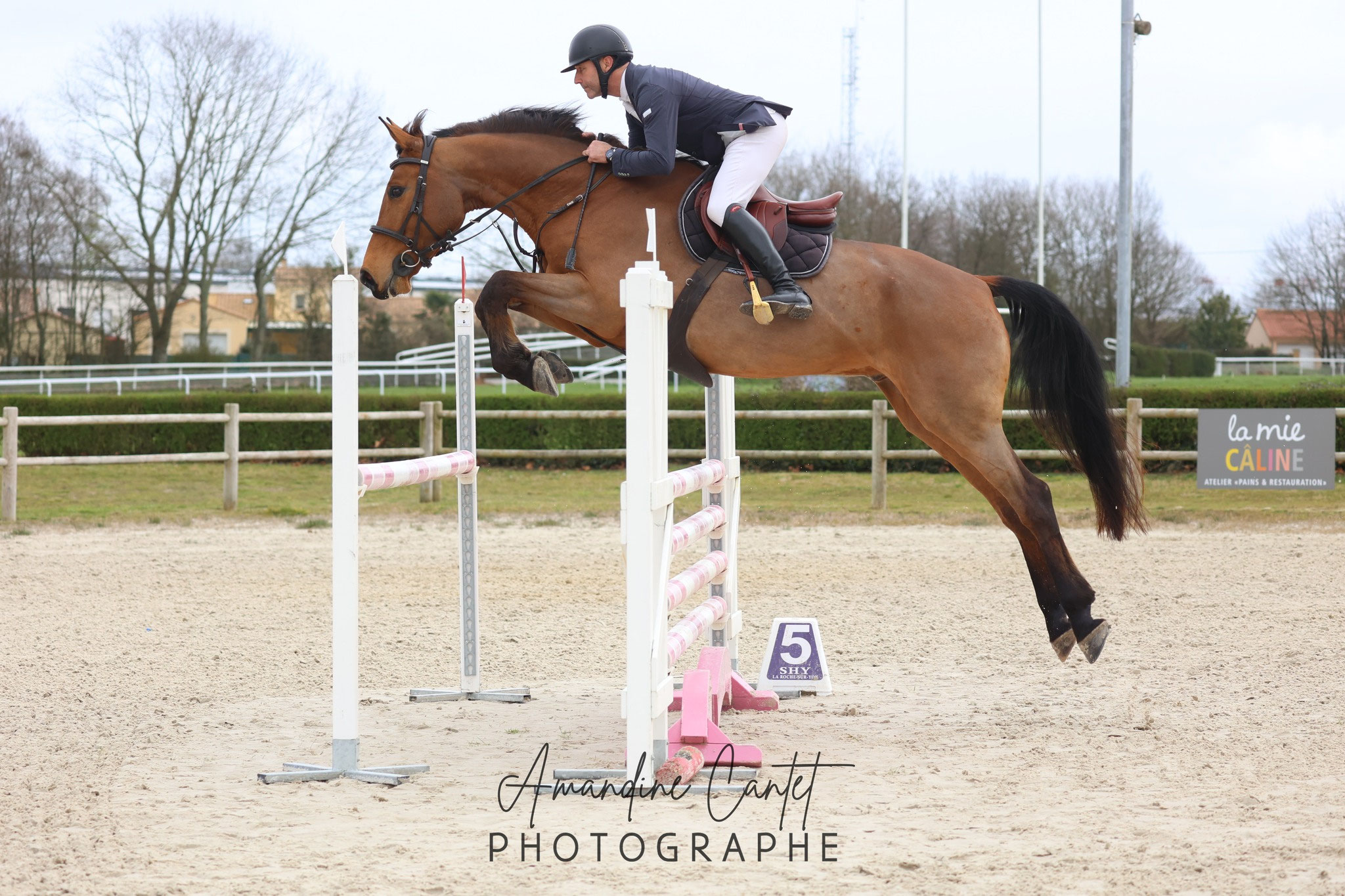 SHY - Centre Equestre des Terres Noires
