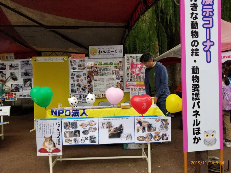 岡山市動物愛護フェスティバルに参加しました 犬猫愛護会わんぱーく 岡山 譲渡会 里親 ボランティア