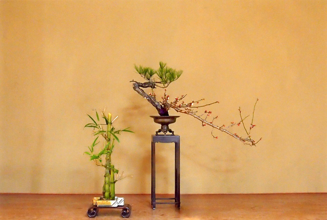 伝統の生花 - 華道 「遠州流」 美濃 ホームページ 伝統の生花 - 華道 「遠州流」 美濃 ホームページ