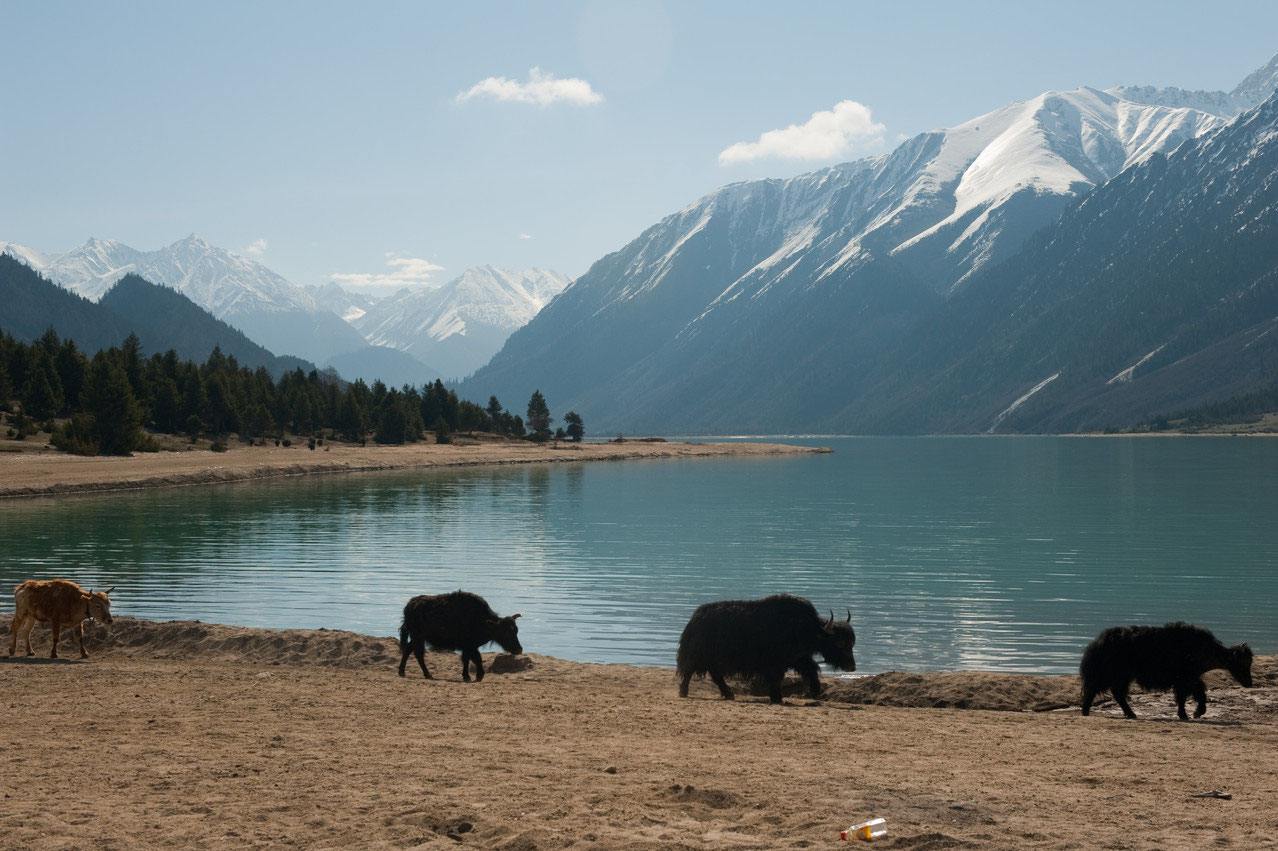 Tibet Heute Tibet Heute