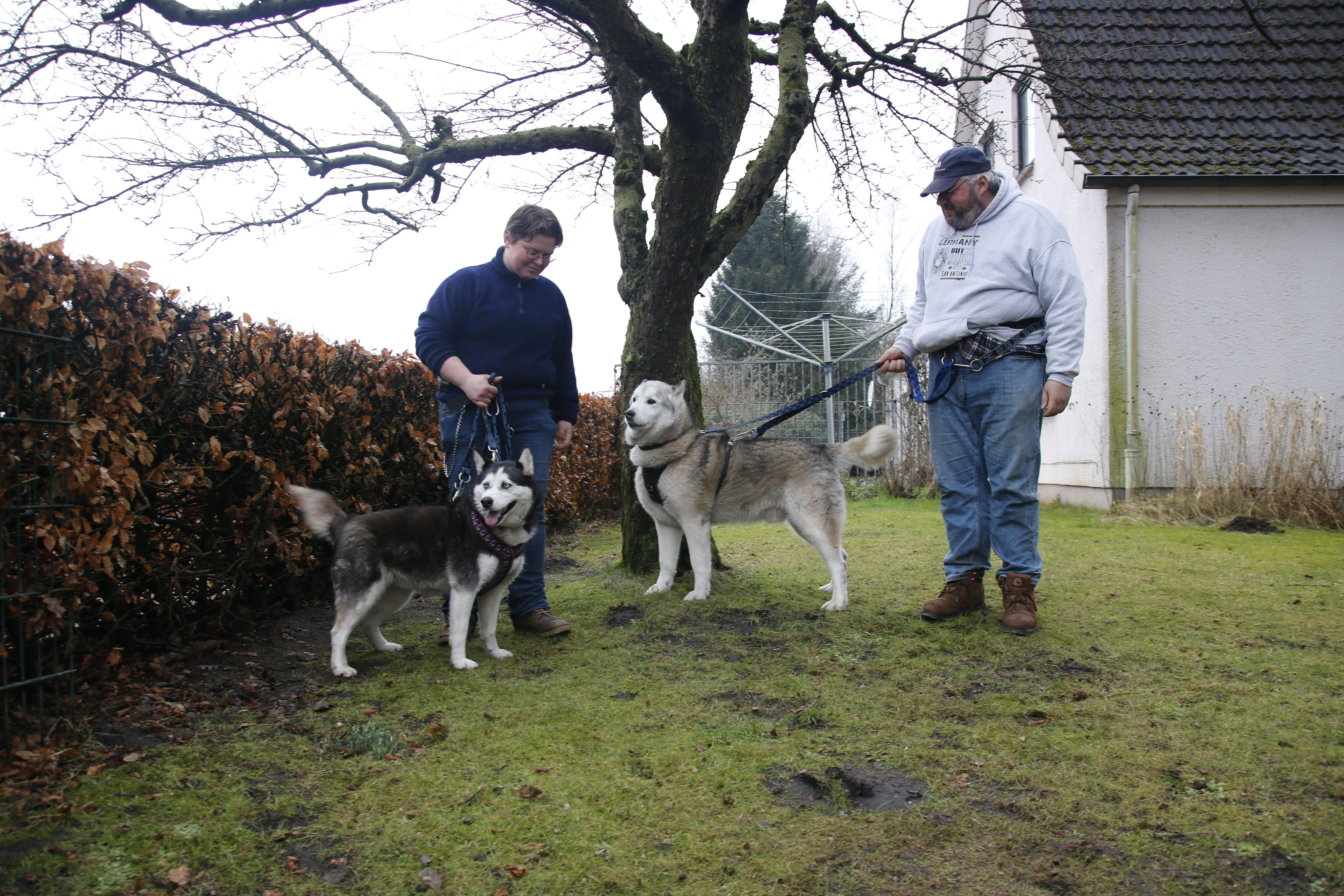 Lebensgefährten finden sich Das Tierheim für Nordische Hunde in Not!