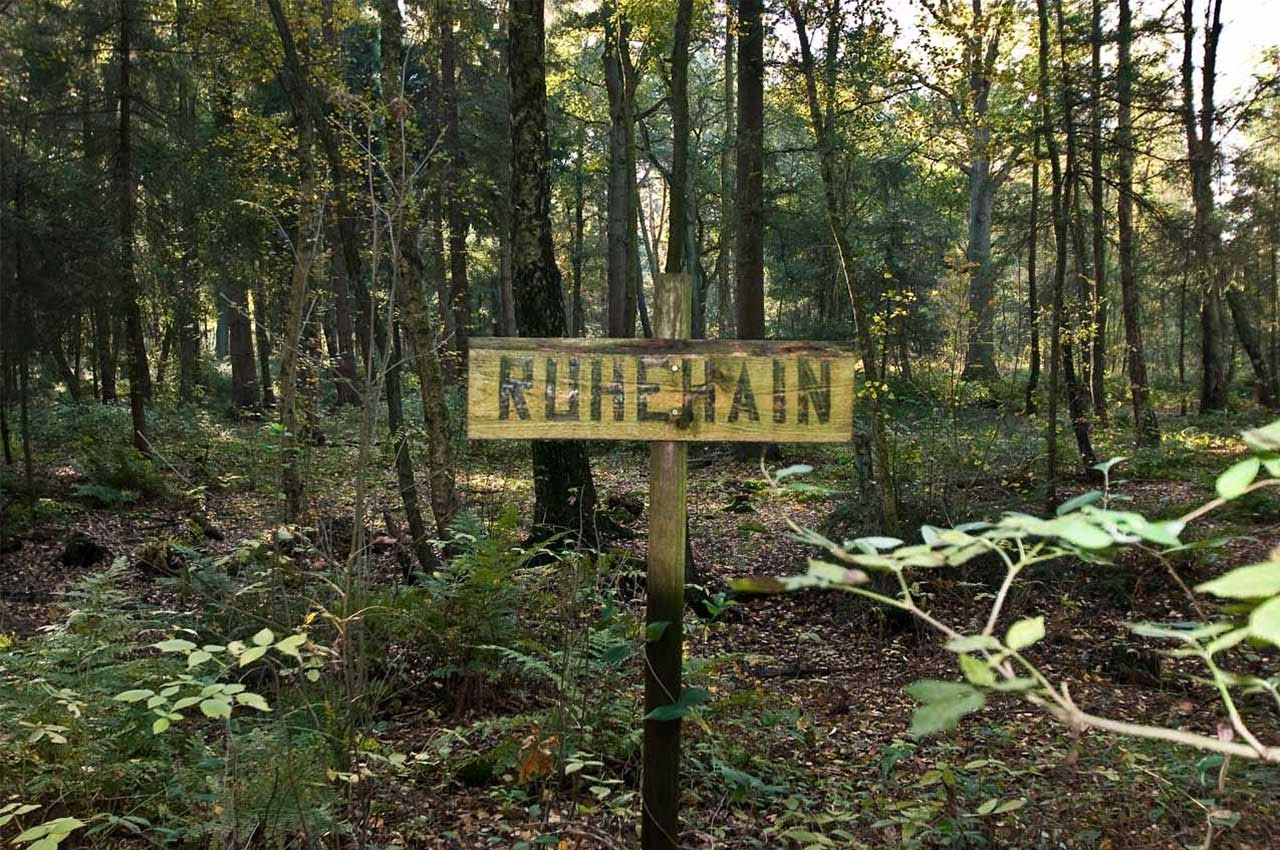 Eine Alternative zur herkömmlichen Bestattung - ruhe-hain