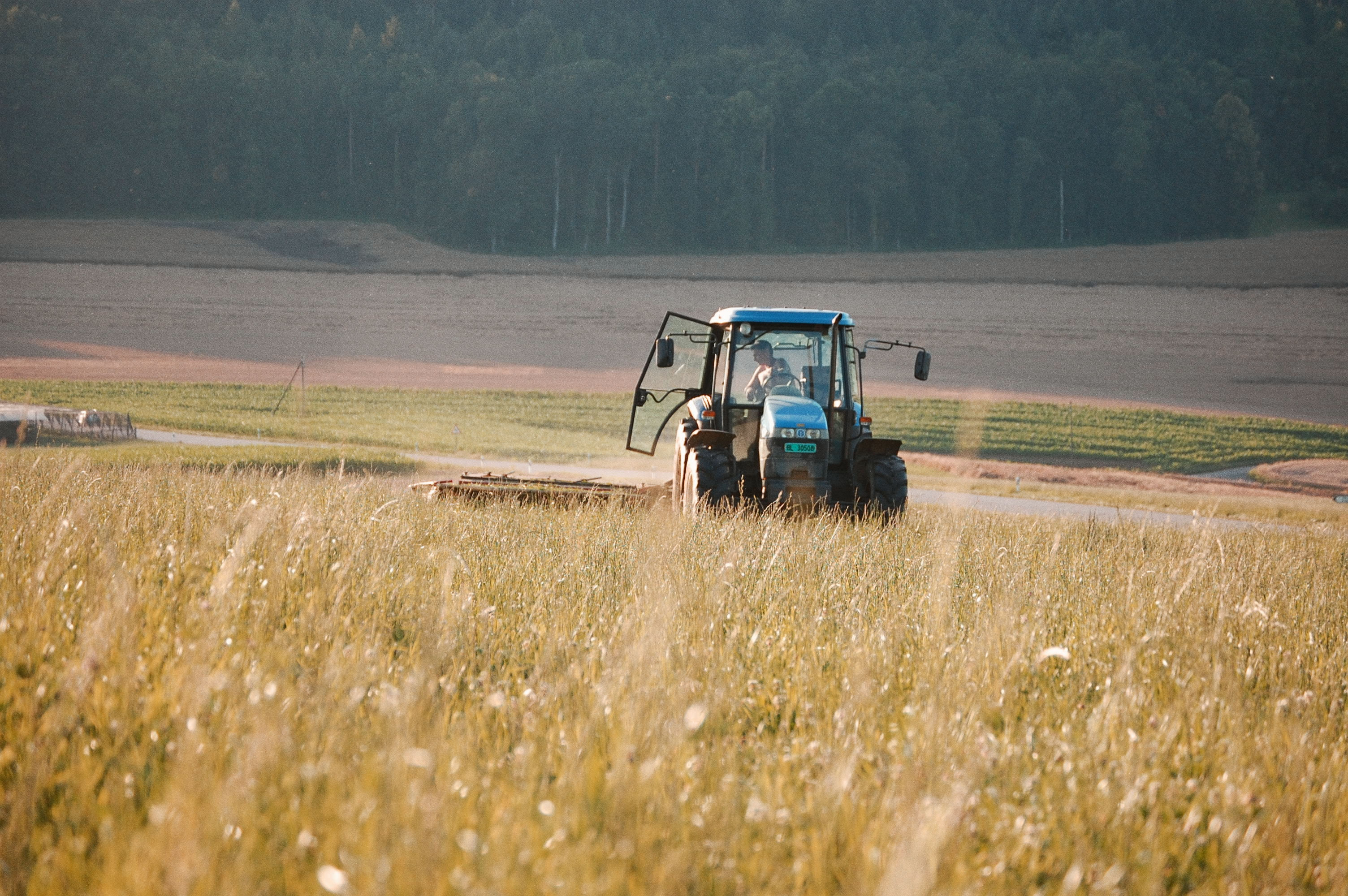 Acker und Futterbau Hof Gemeinschaft Herzog