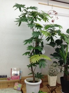 エバーフレッシュ Mini花
