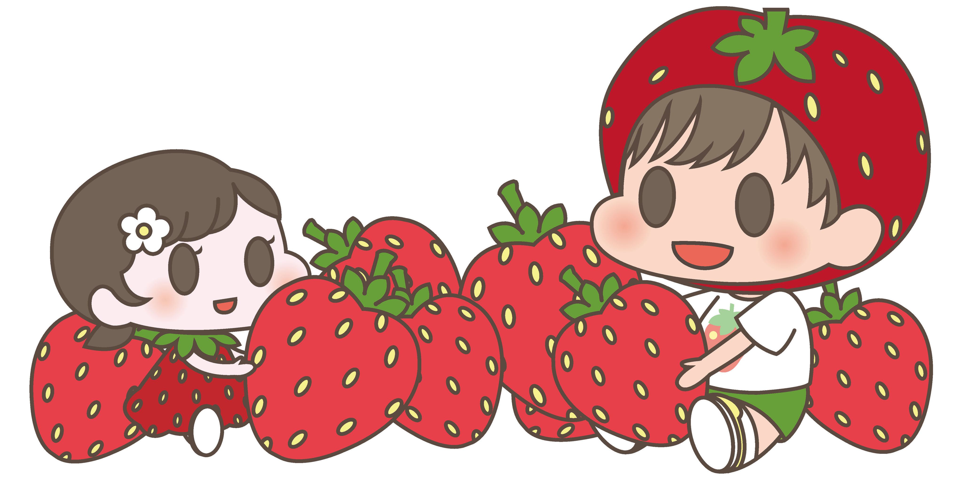 さいたまでイチゴ狩り…strawberry-house-HOSODA - 埼玉県さいたま市で