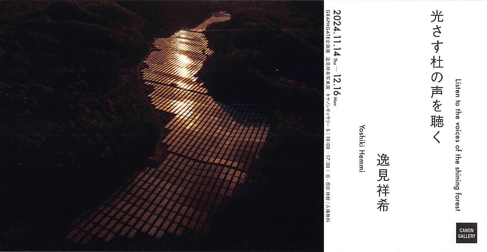 光さす杜の声を聴く Listen to the voices of the shining forest