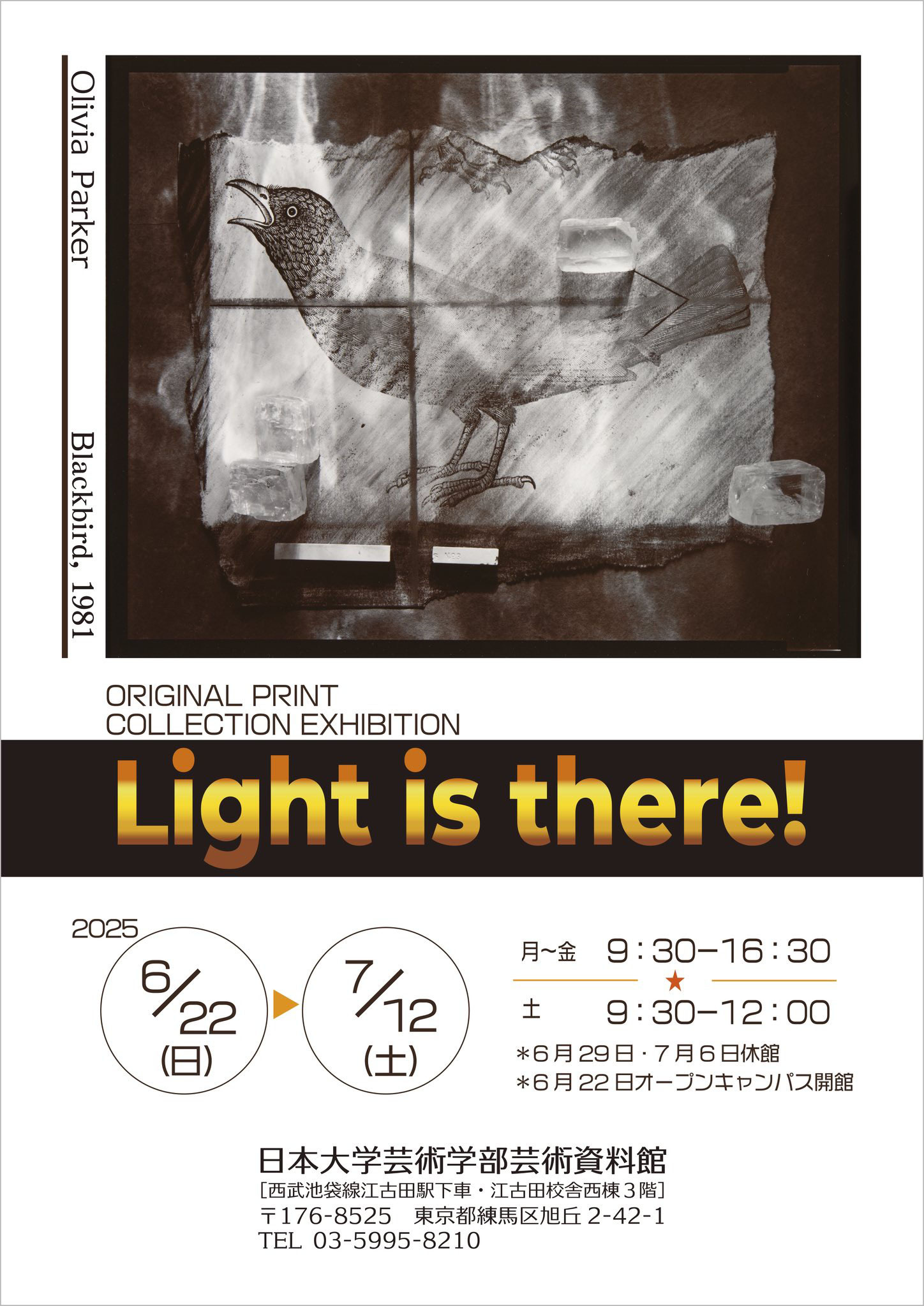 オリジナルプリント展「Light is there!」 - 日本大学芸術学部写真学科