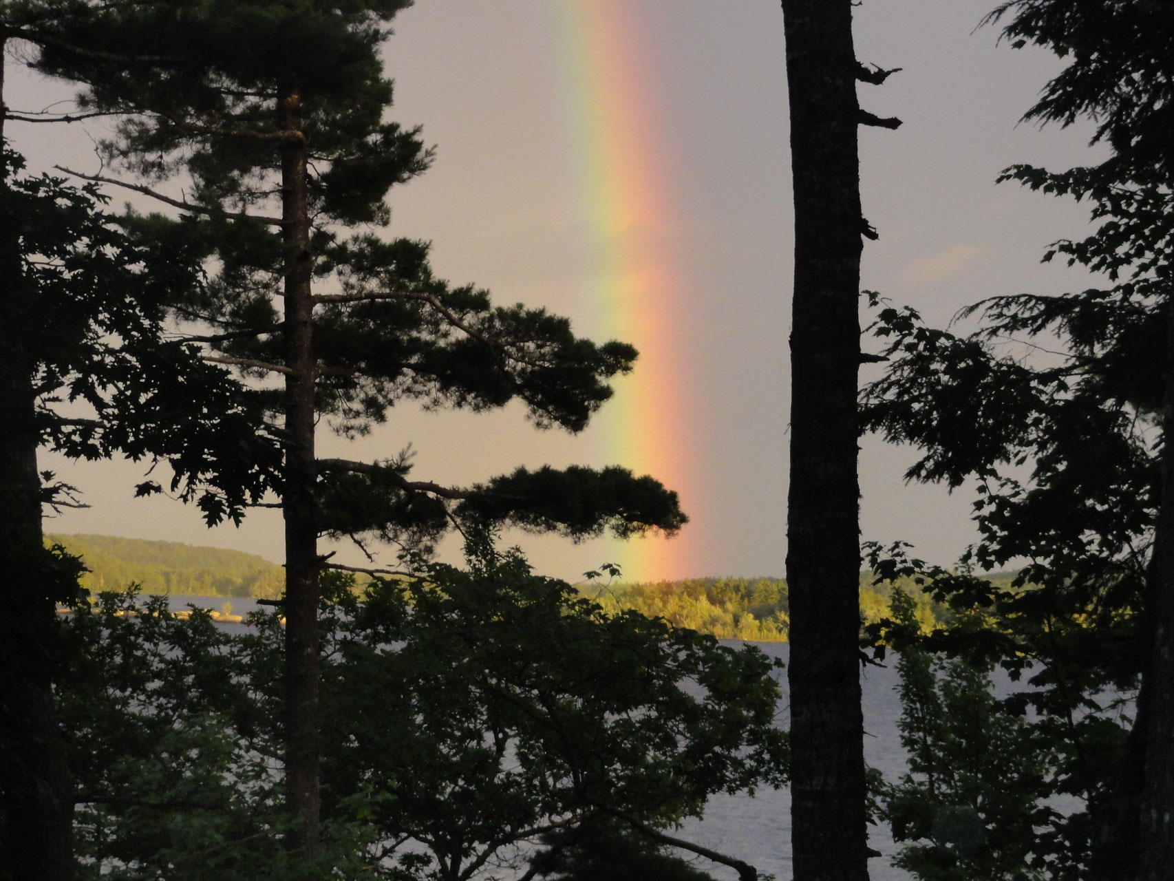 The Captain`S Den_Gallery The Captains Den_Cottage Molega Lake