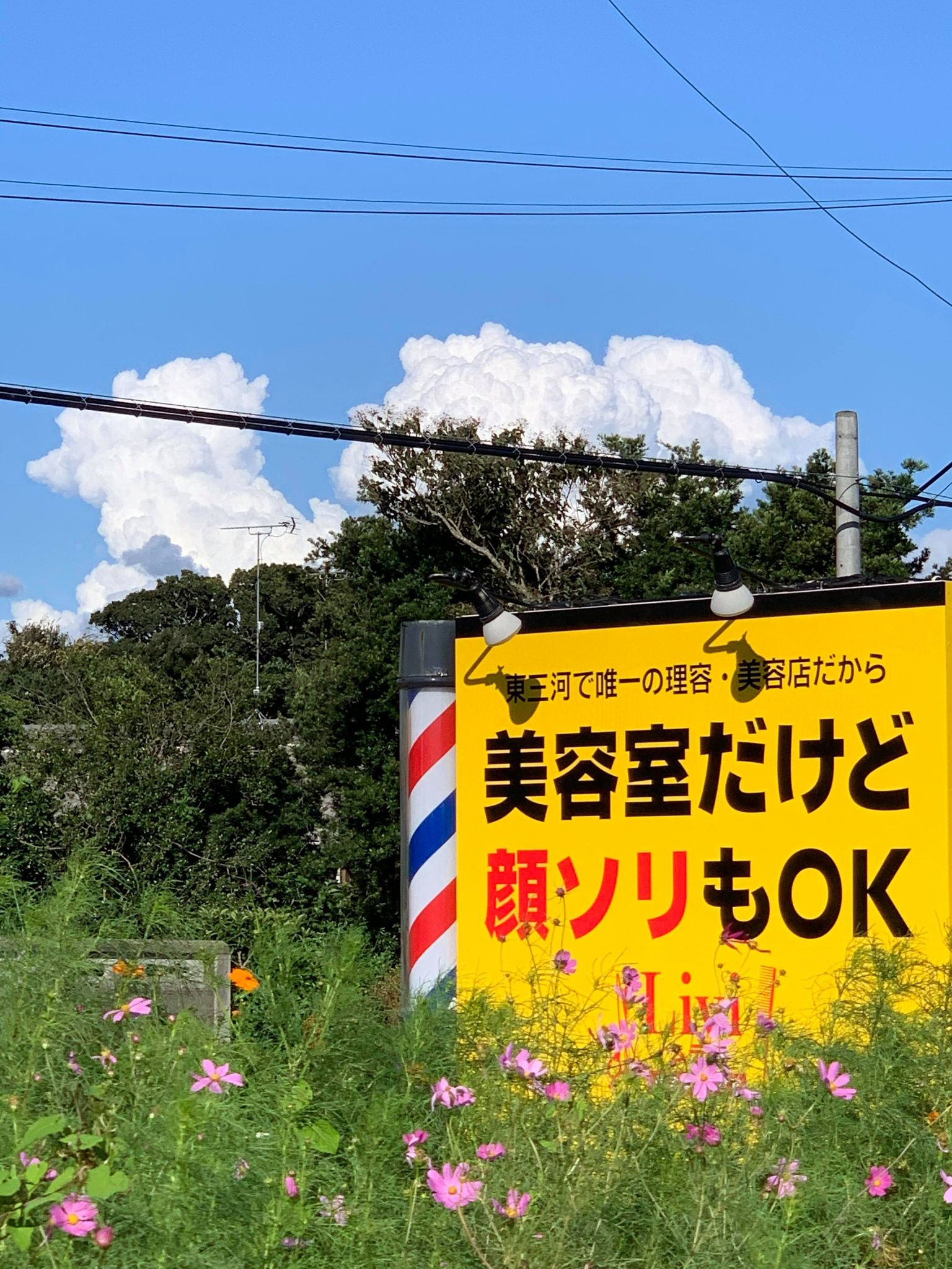 株式会社イチハシスタジオ