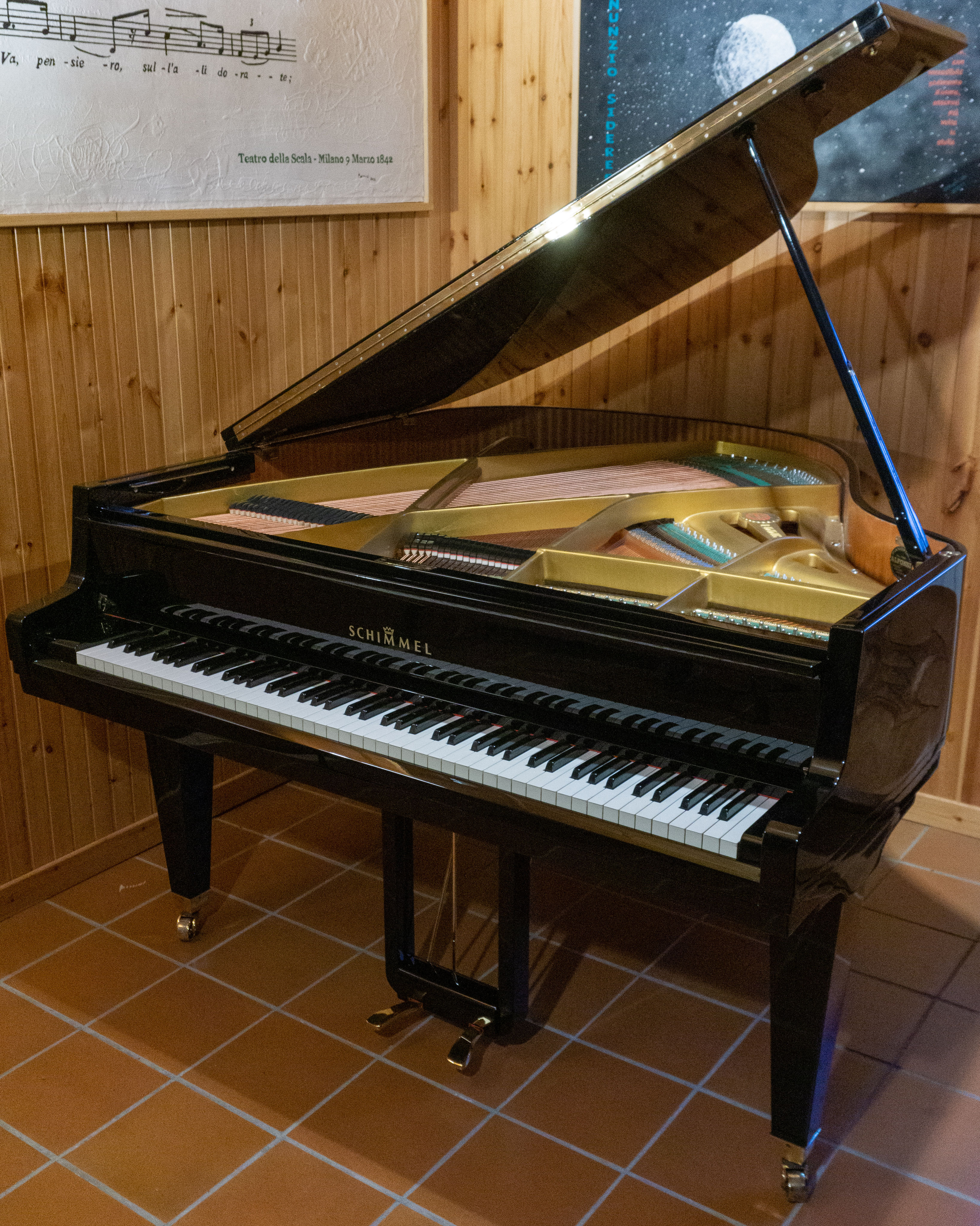 Schimmel quarto di coda - Accordatura, vendita, noleggio, assistenza  tecnica, manutenzione, servizi di acustica ambientale, pianoforti usati,  pianoforte ricondizionato, pianoforti Yamaha. Negozio di pianoforti a  Potenza