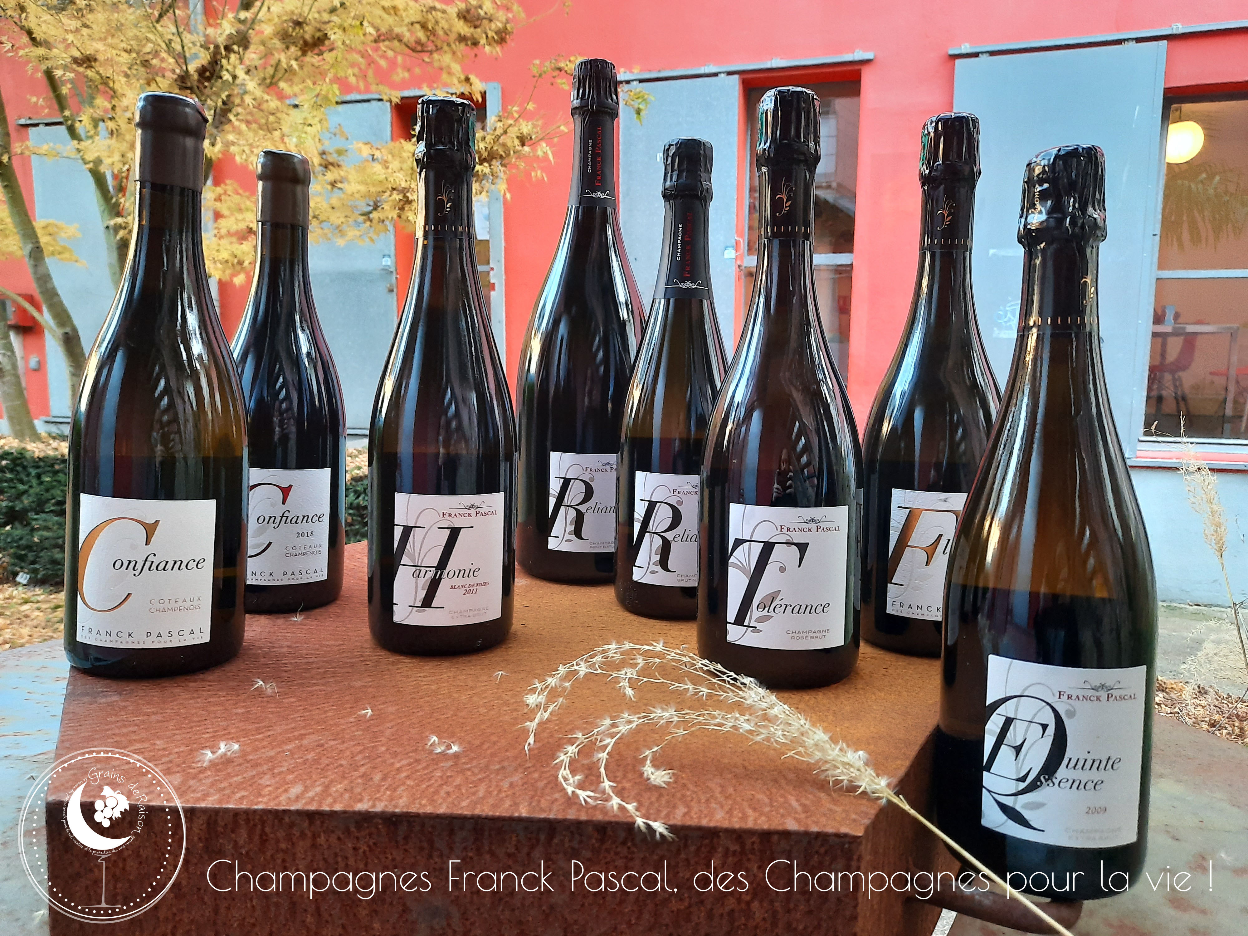 Grains De Raison Nantes Grains De Raison