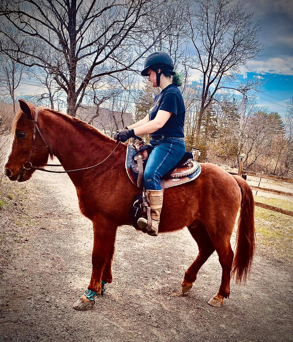 Horses for Lease windcresthorsefarm