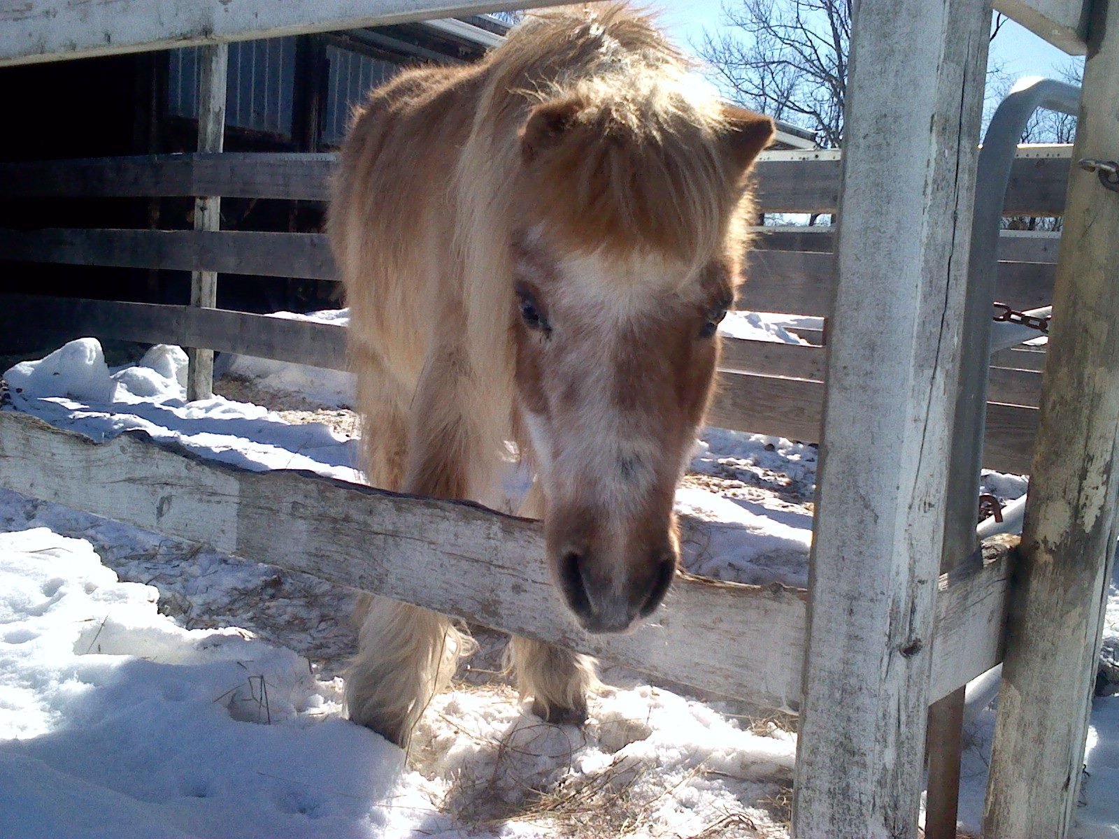 Wind Crest Farm photo