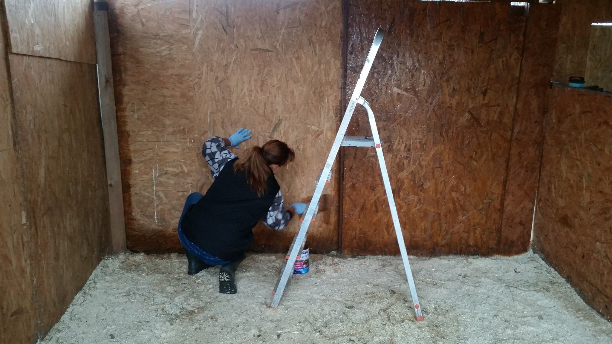 Shelterbau Pro Animal Welfare Hamburg e.V.