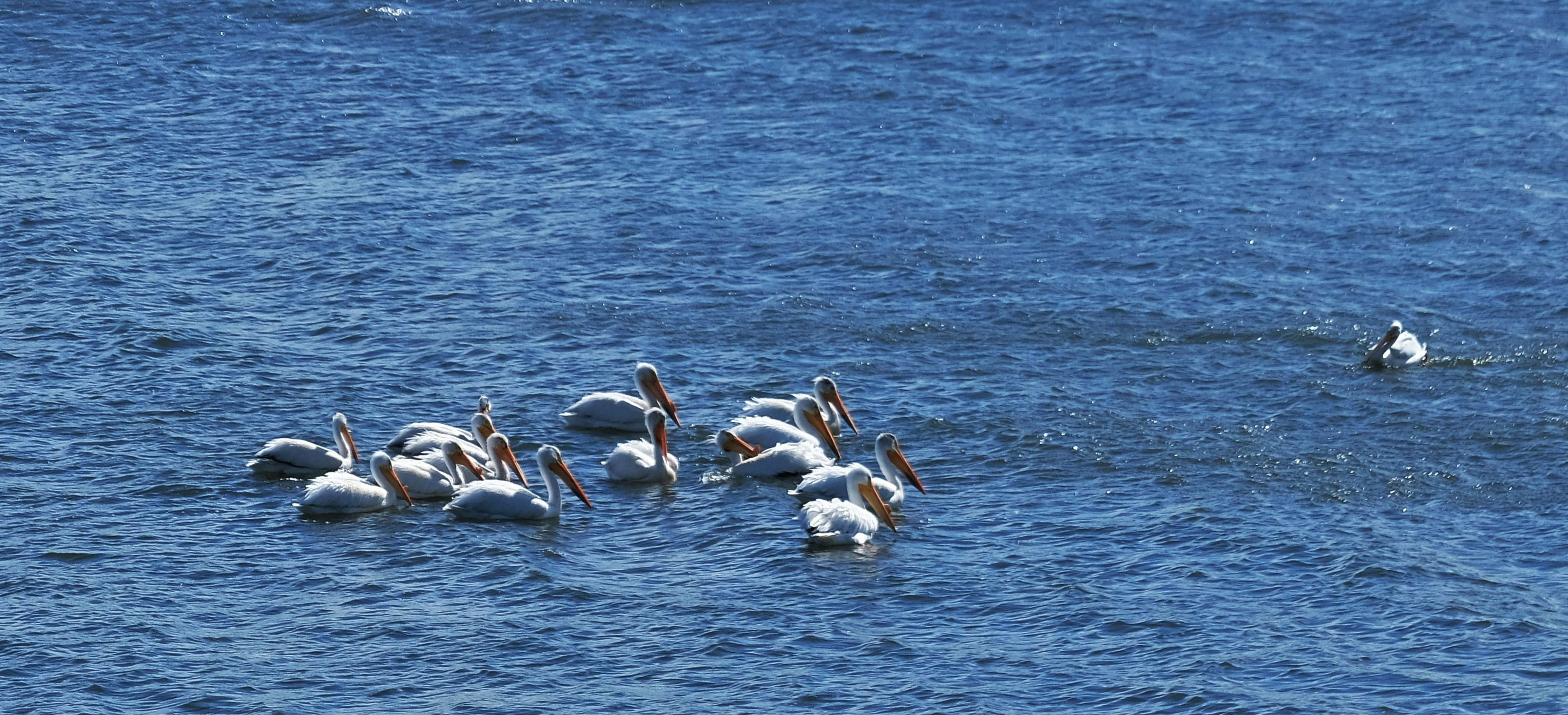 Fort Abraham Lincoln State Park WomoNomaden