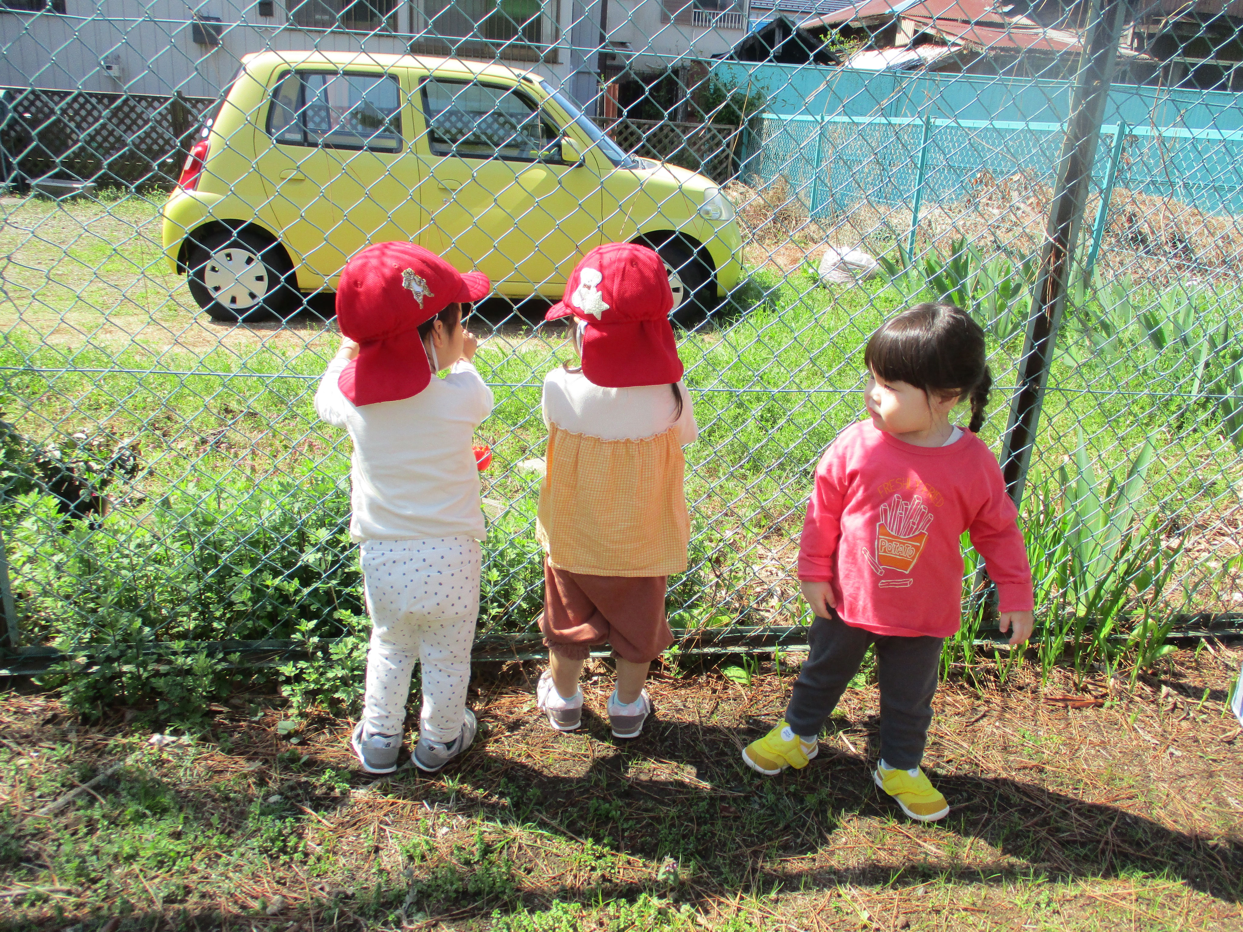 引用: Ｋｉｄ’ｓＰａｔｉｏまくはり園