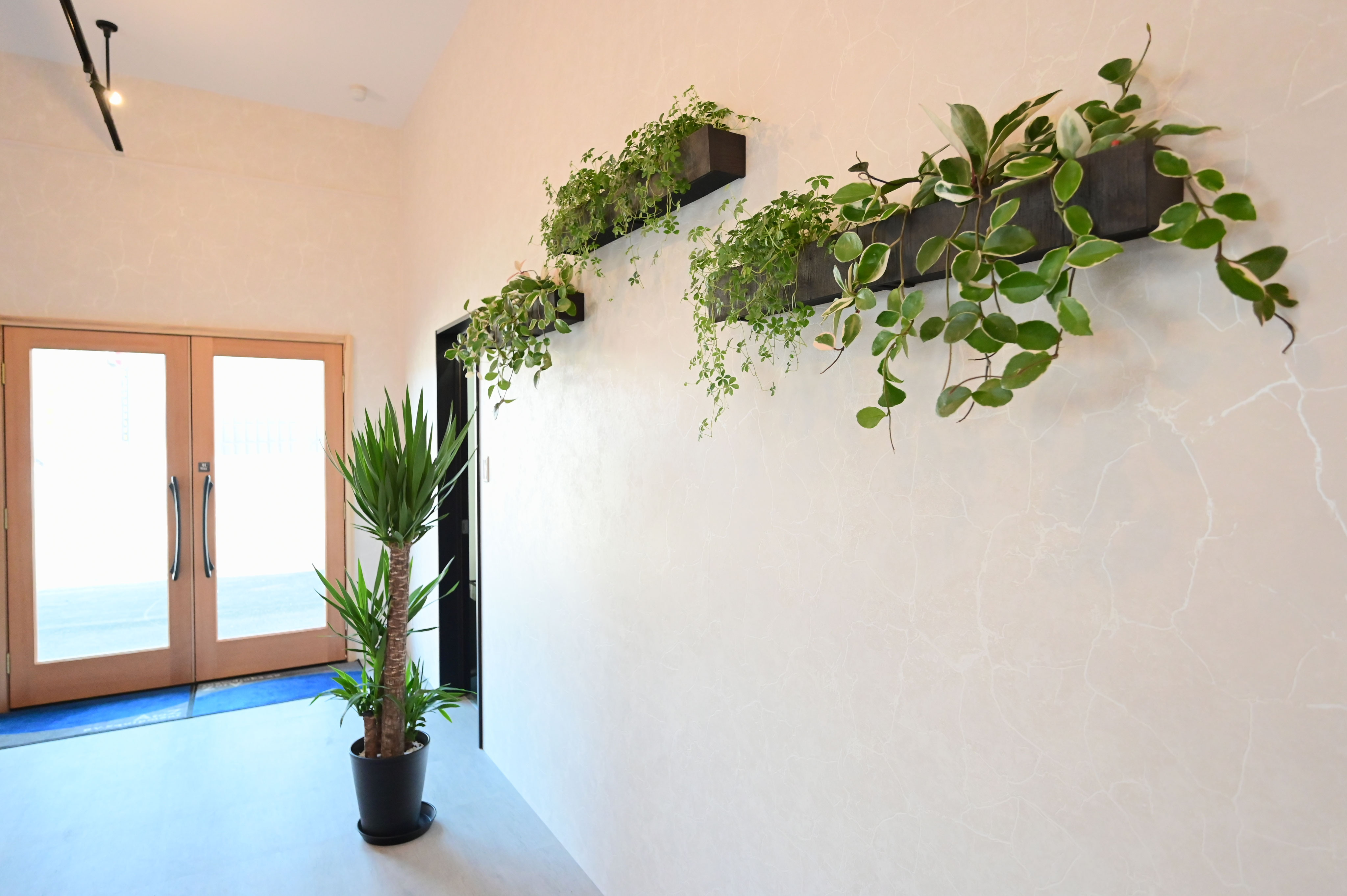 キャンピングカー展示場のインテリアコーディネート事例 インテリアコーディネートのラフスタイル Mako