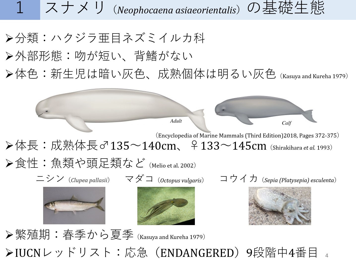 ここでは 学外のイベントについて掲載します 千葉科学大学危機管理学部動物危機管理学科 ここでは 学外のイベントについて掲載します 千葉科学大学危機管理学部動物危機管理学科