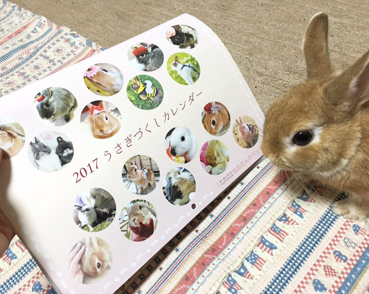 月うさぎオーダーページ♡ 月うさぎ様専用 月うさぎ様専用オーダーページ♡ うさぎ様♡専用追加