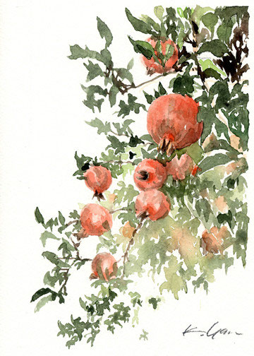 絵画 zakuro 石榴「zakuro] pomegranate - 山田久仁夫のホームページ・Watercolor