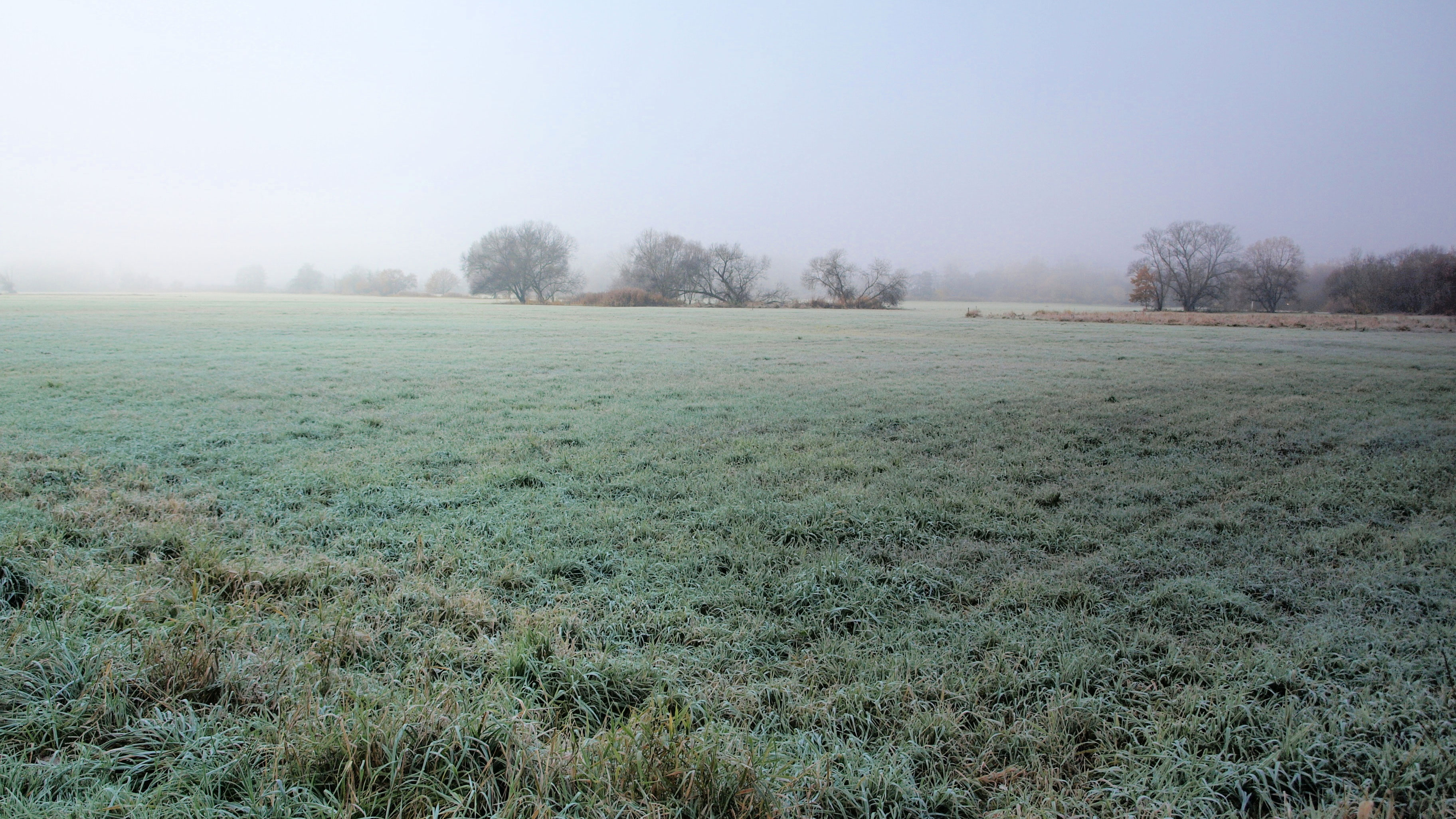 De Sélestat à Illhaeusern par l'Illwald - randoenalsace